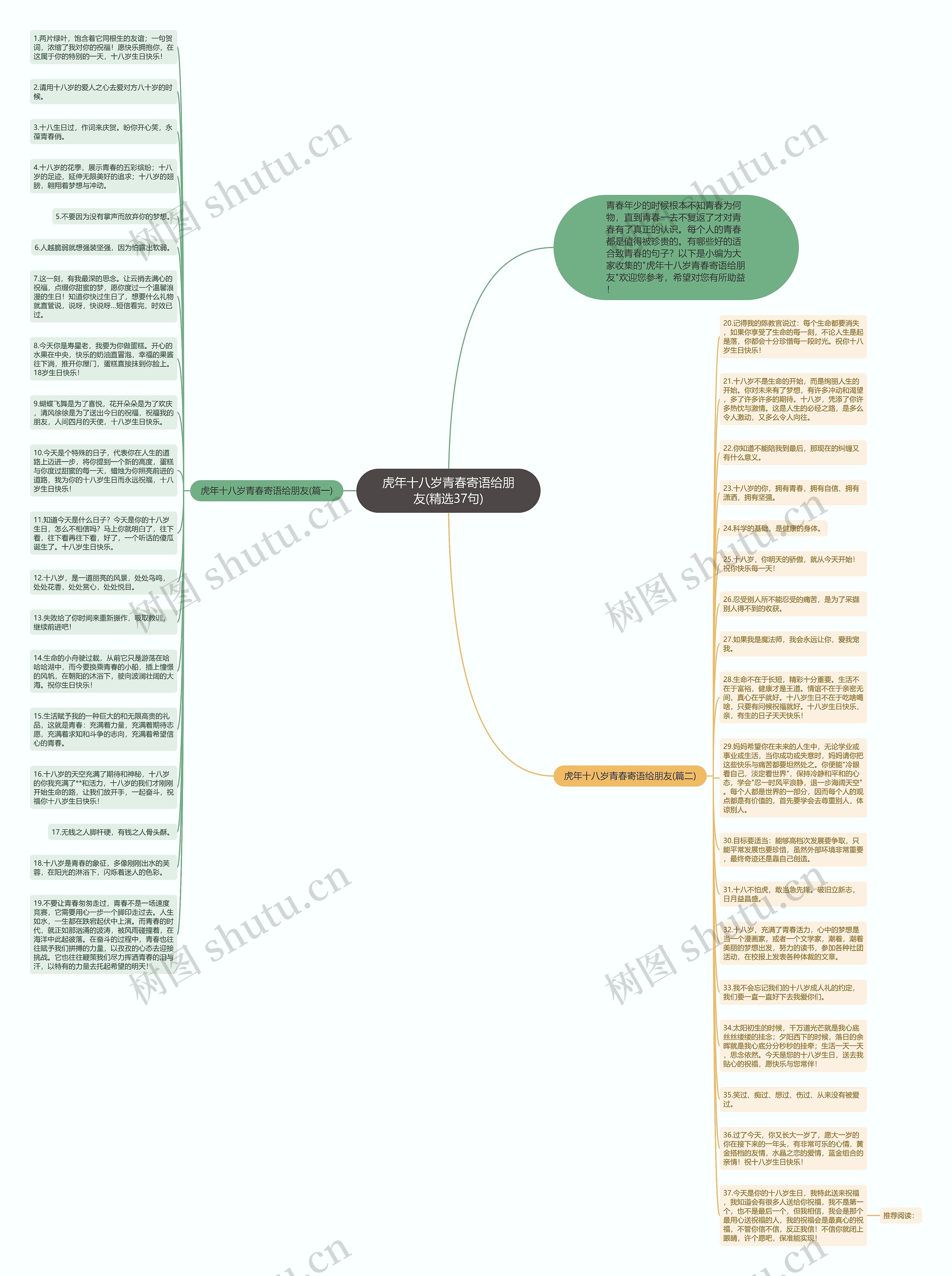 虎年十八岁青春寄语给朋友(精选37句)思维导图