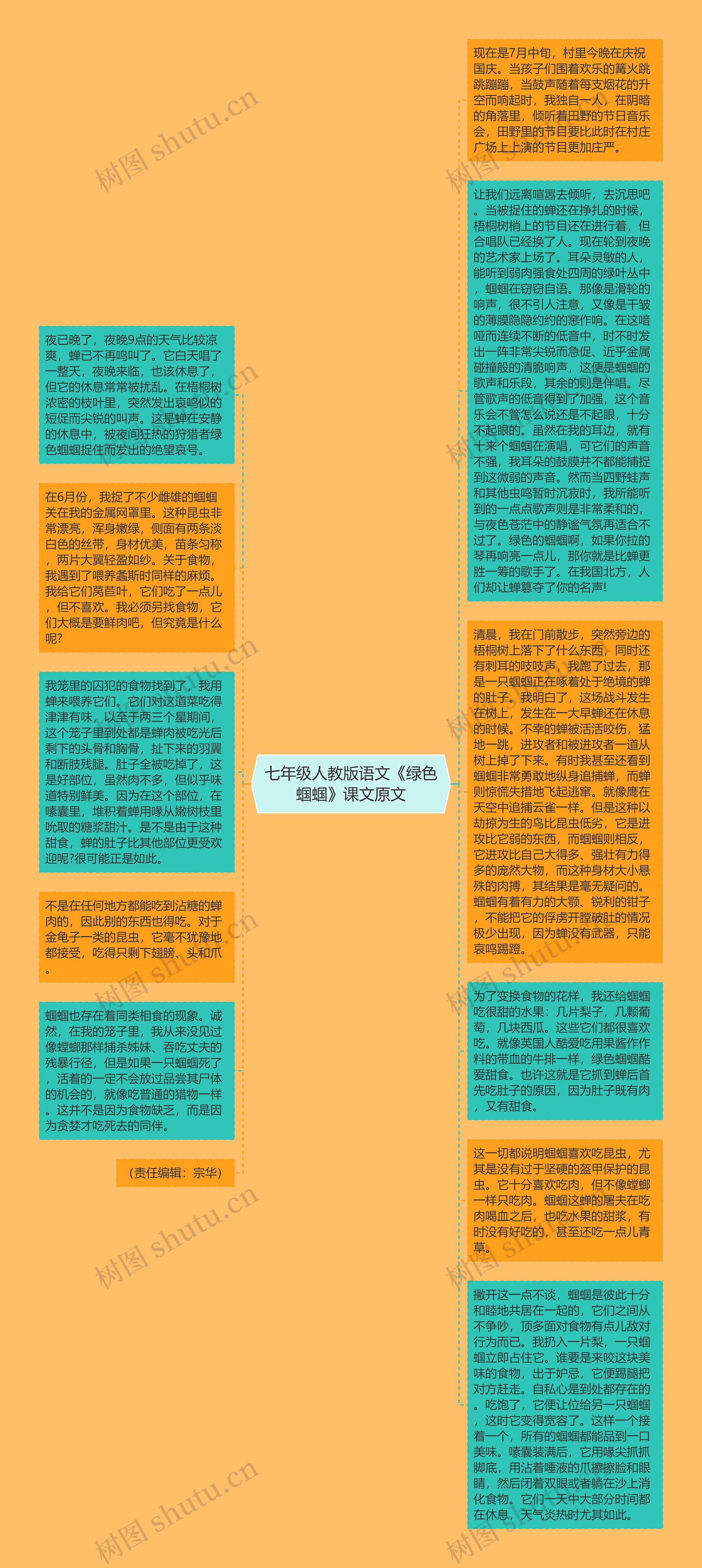 七年级人教版语文《绿色蝈蝈》课文原文思维导图高清图 七年级人教版语文《绿色蝈蝈》课文原文思维导图