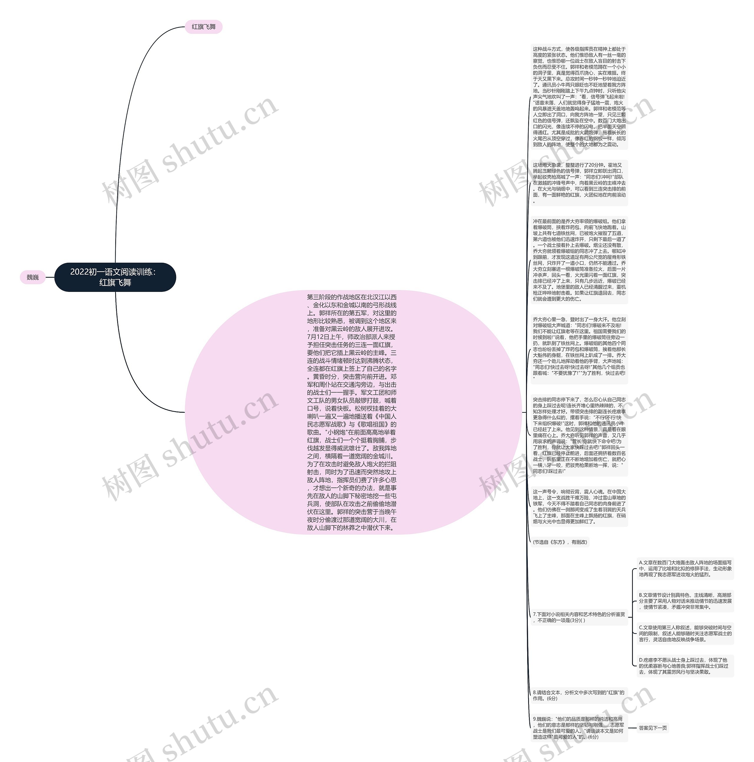 2022初一语文阅读训练：红旗飞舞思维导图