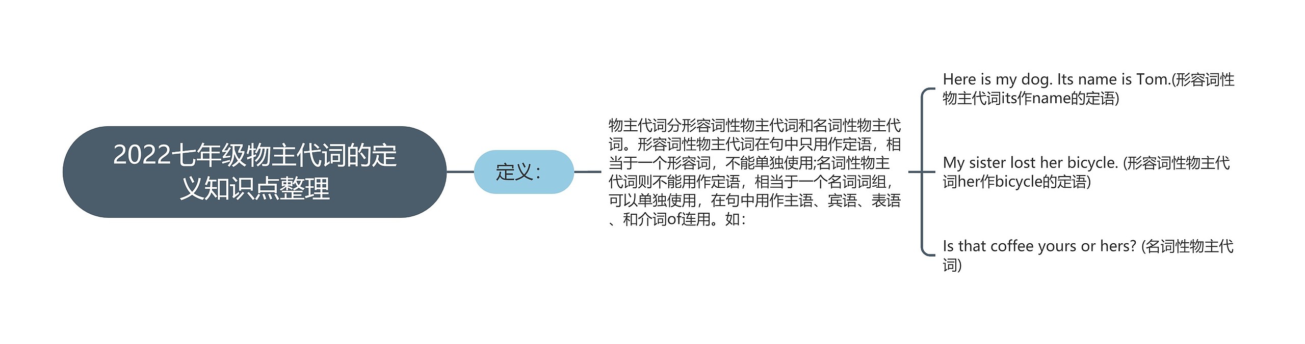 2022七年级物主代词的定义知识点整理