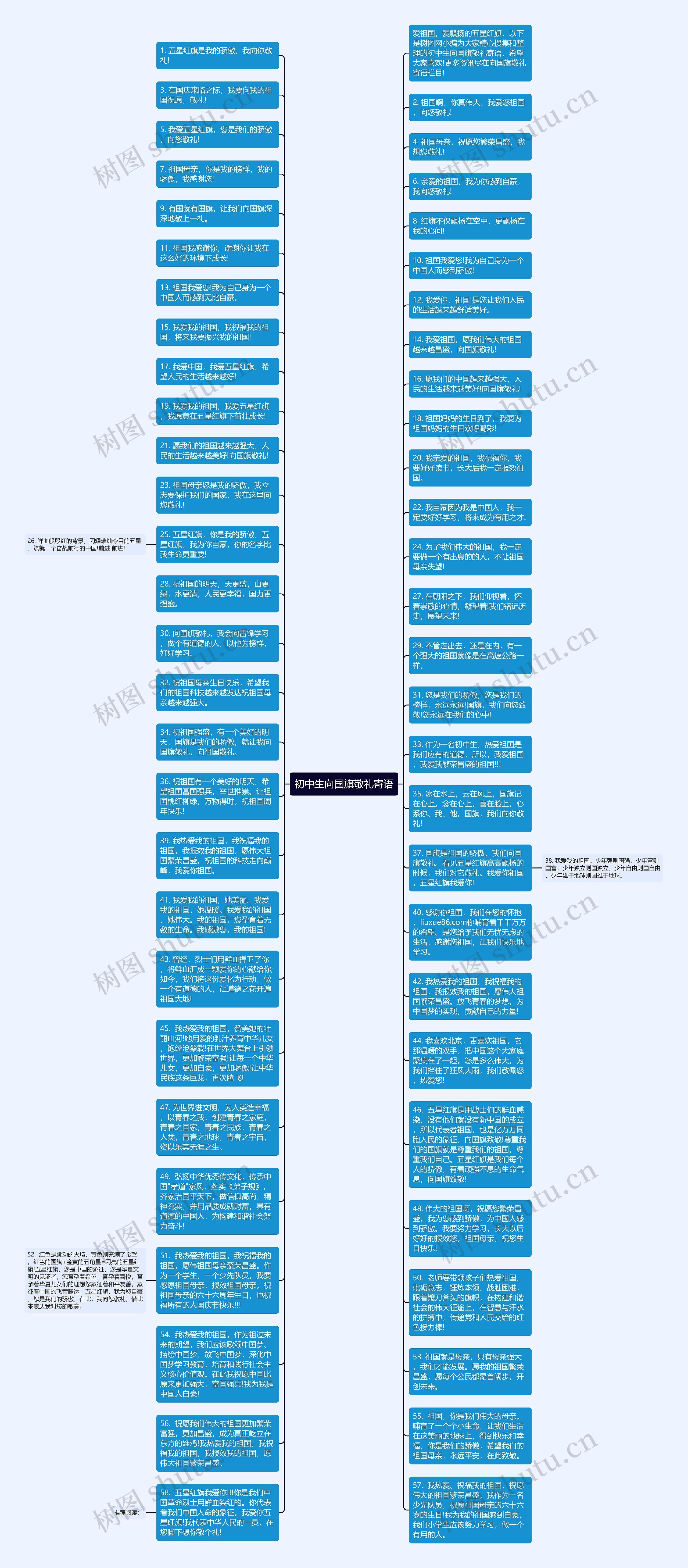 初中生向国旗敬礼寄语思维导图