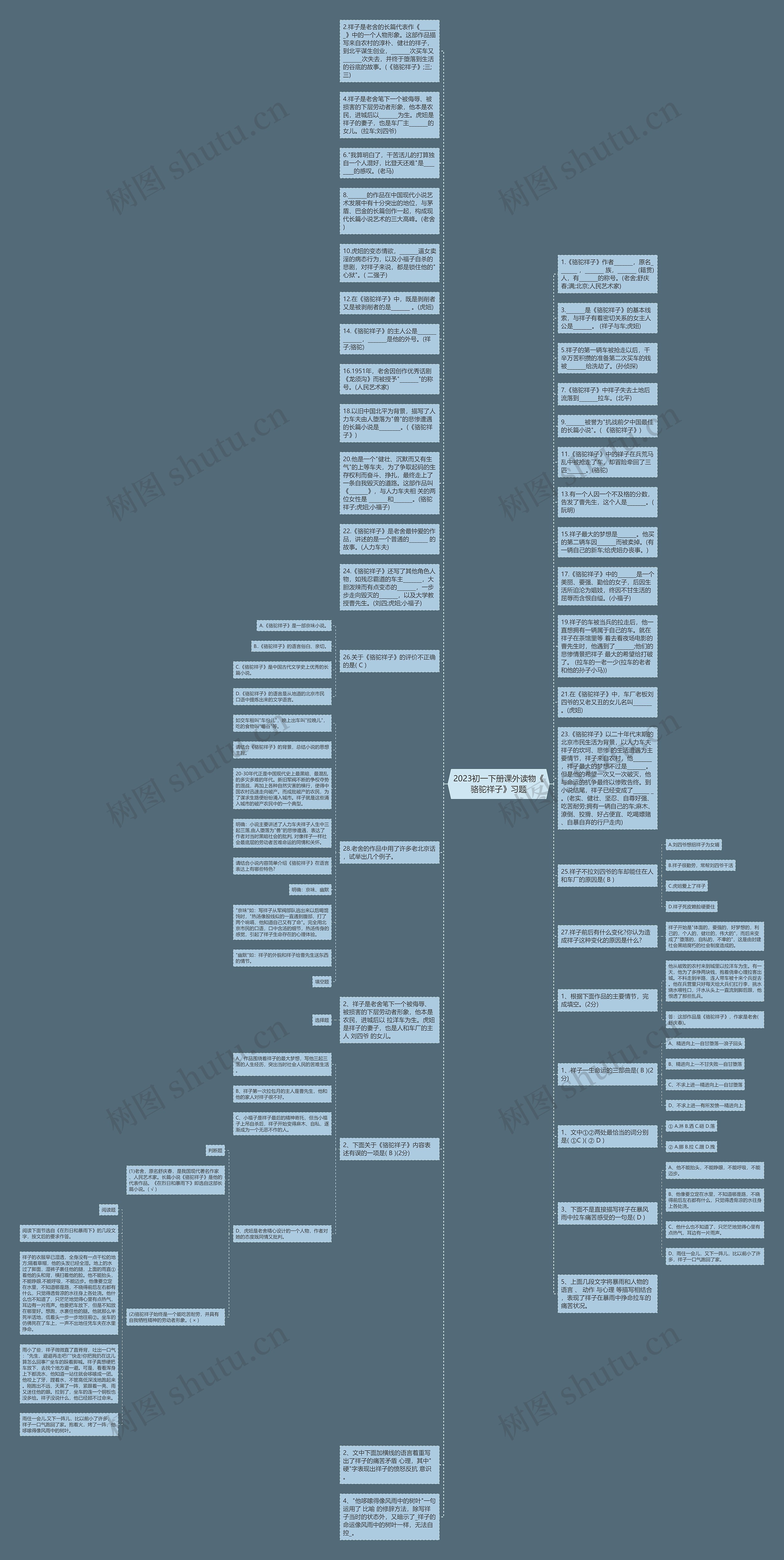 2023初一下册课外读物《骆驼祥子》习题思维导图