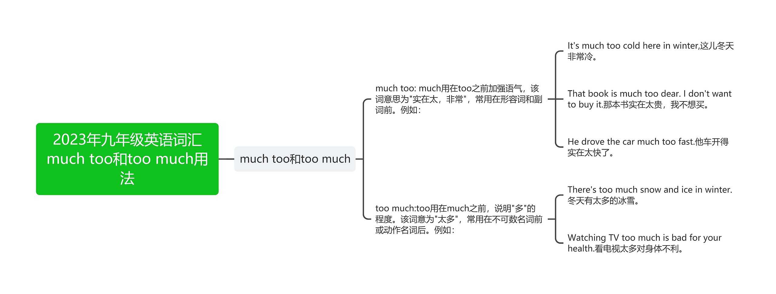 2023年九年级英语词汇much too和too much用法