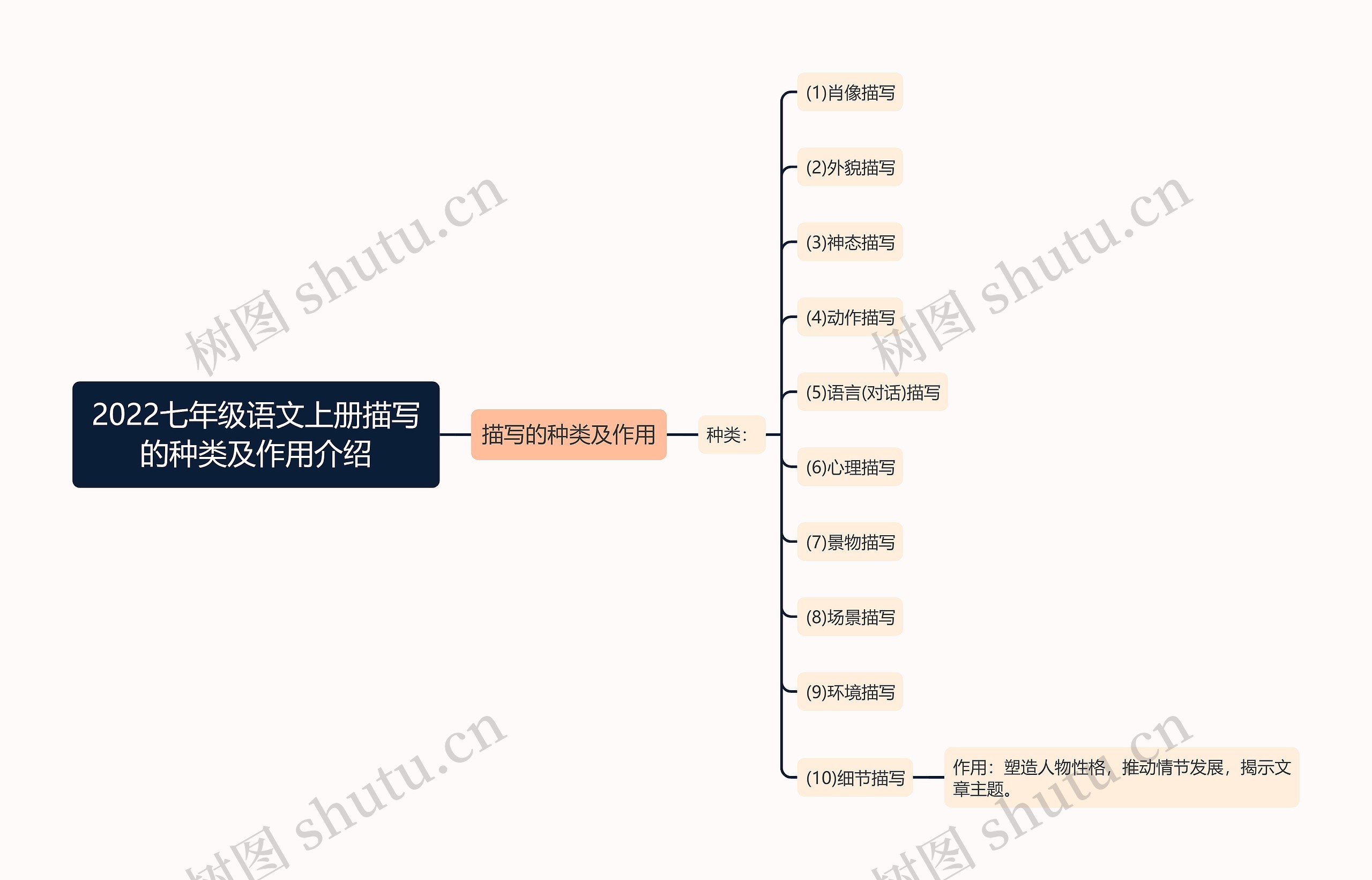 2022七年级语文上册描写的种类及作用介绍