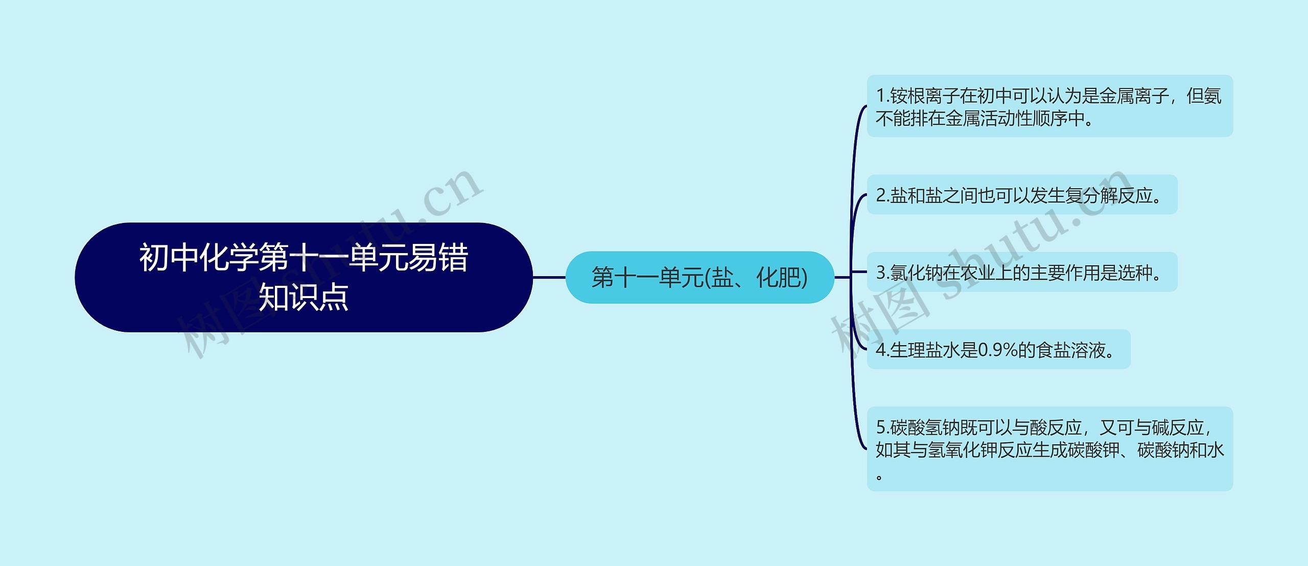 初中化学第十一单元易错知识点