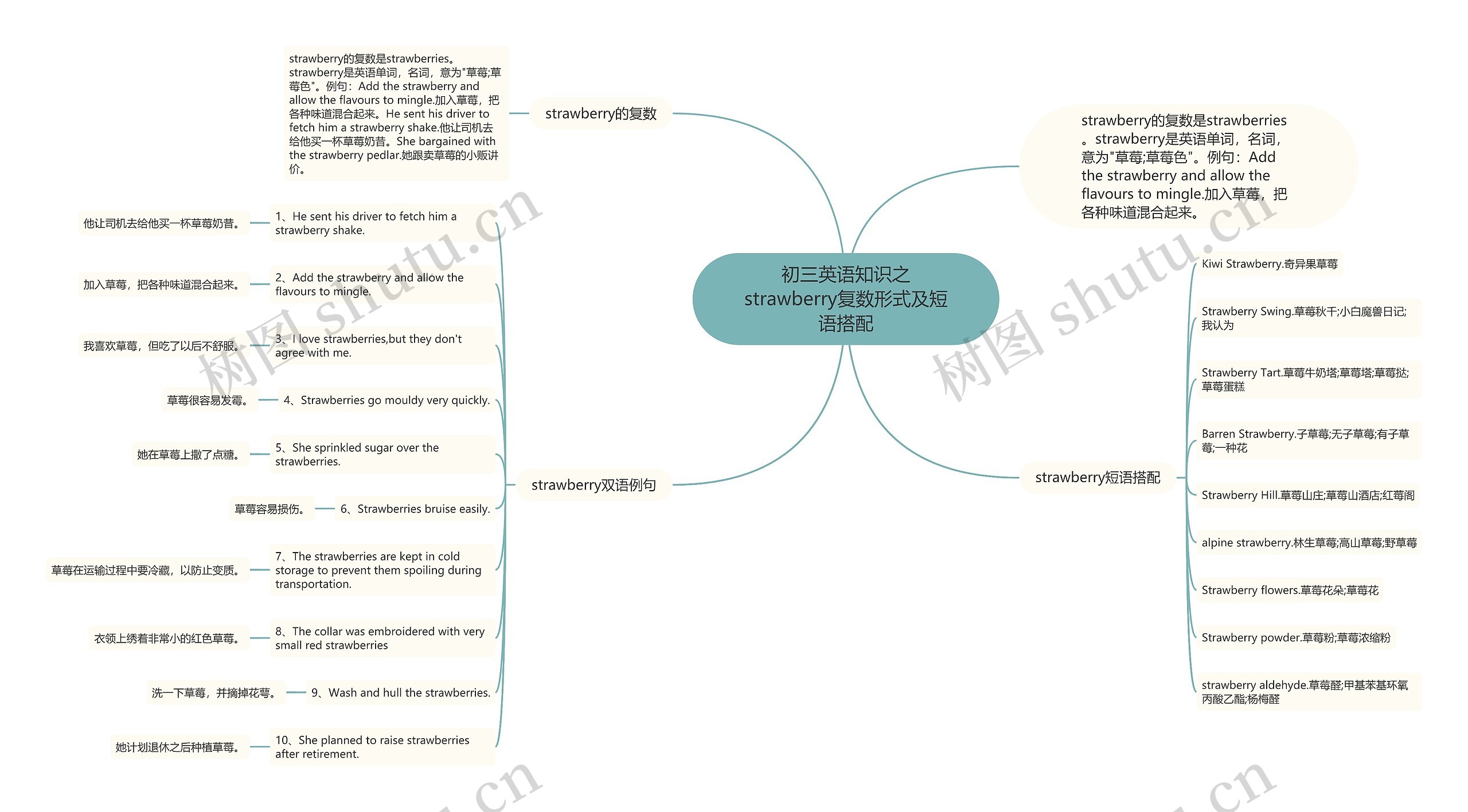 初三英语知识之strawberry复数形式及短语搭配思维导图