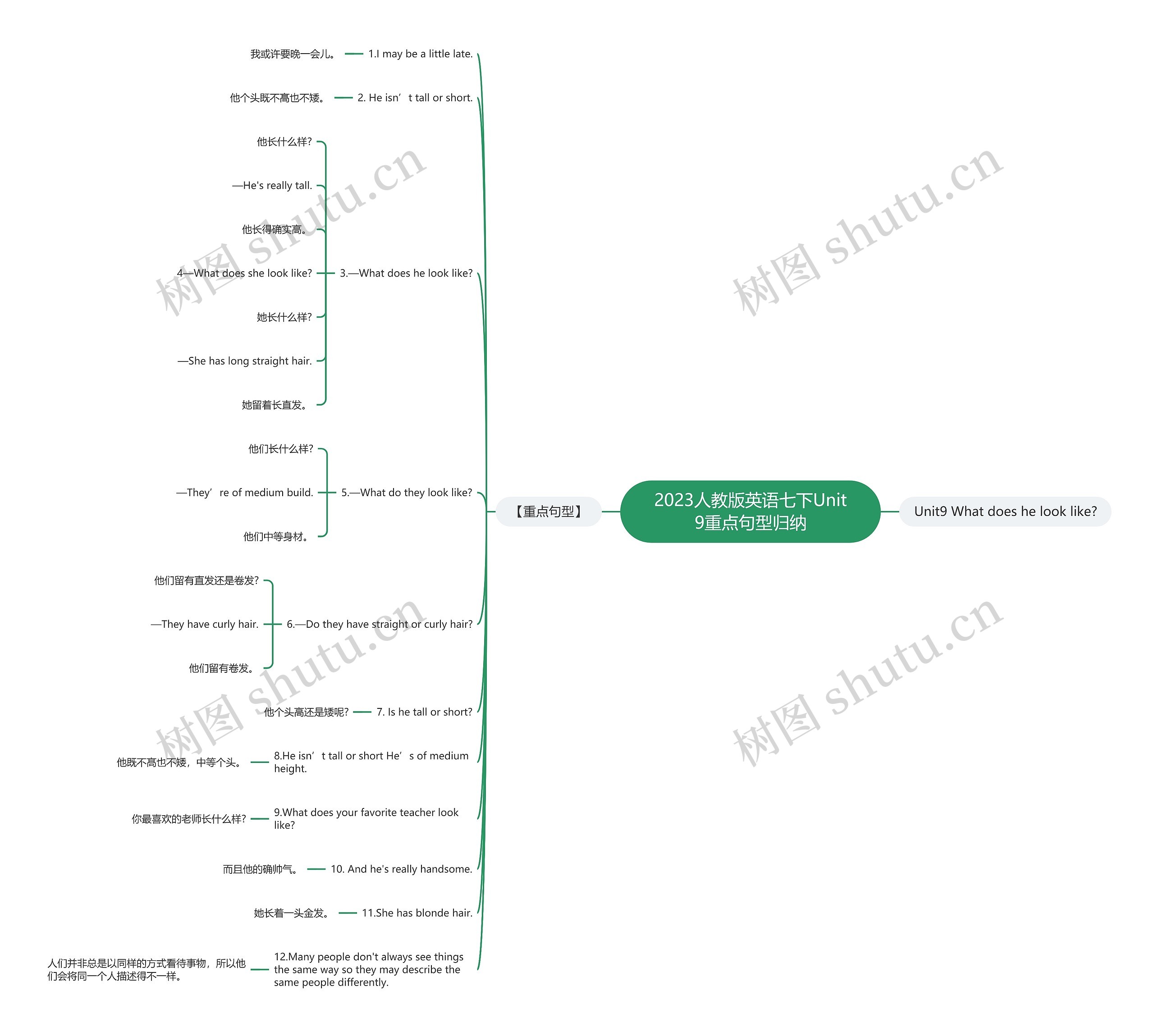 2023人教版英语七下Unit9重点句型归纳思维导图