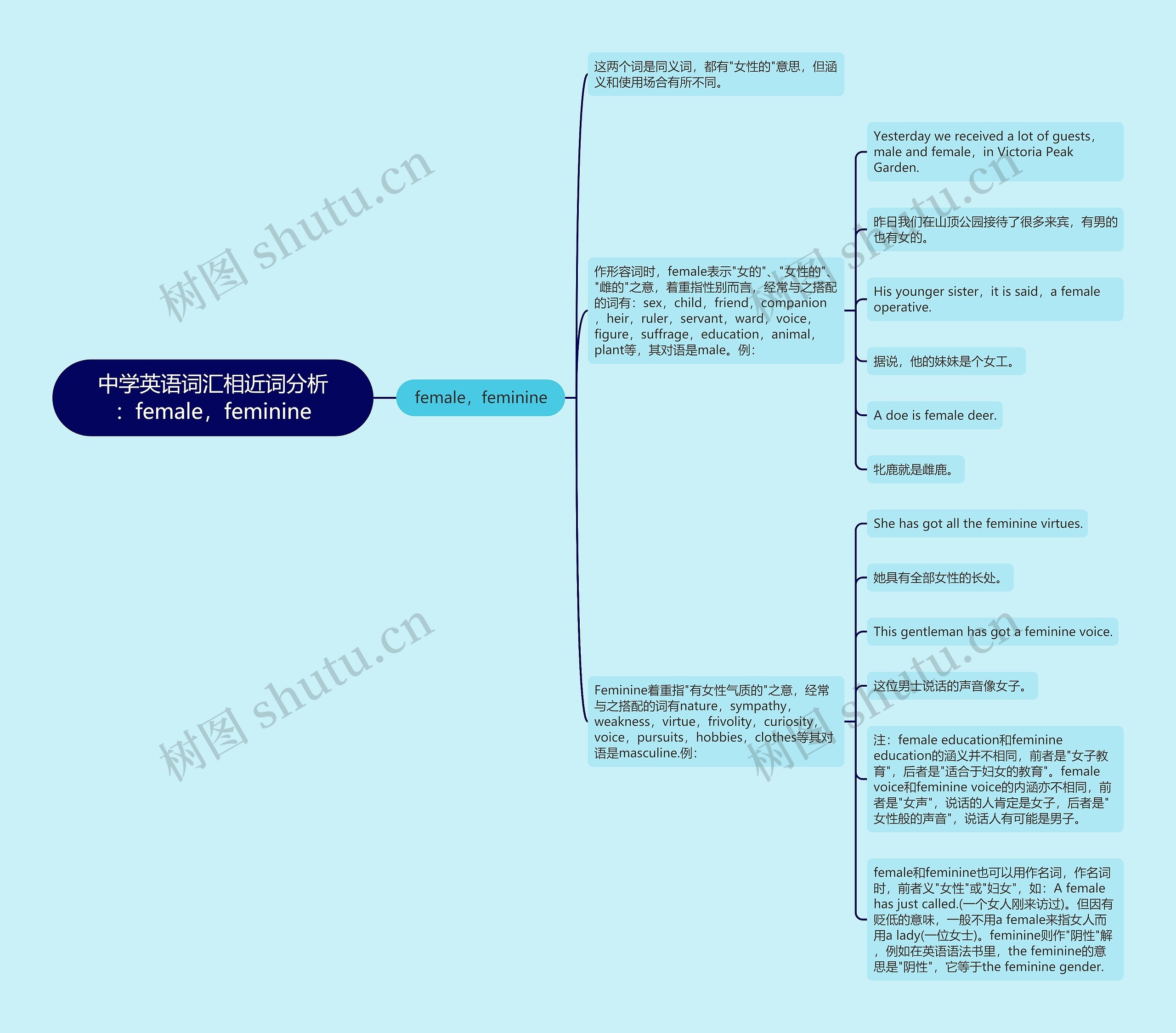 中学英语词汇相近词分析：female，feminine思维导图