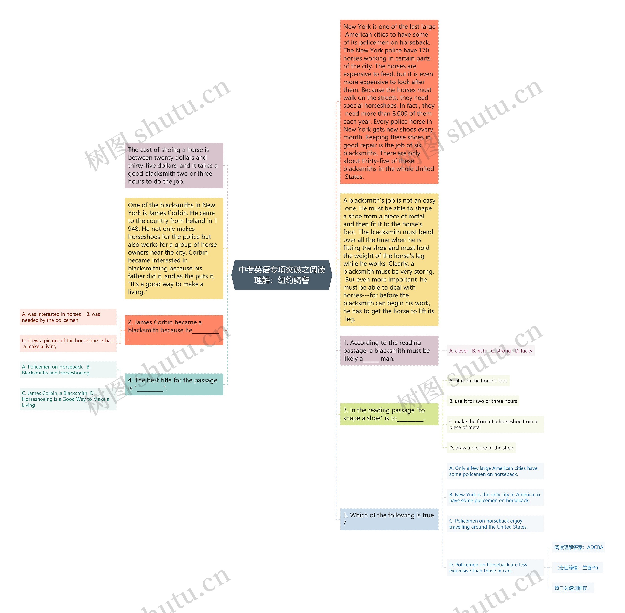 中考英语专项突破之阅读理解：纽约骑警思维导图