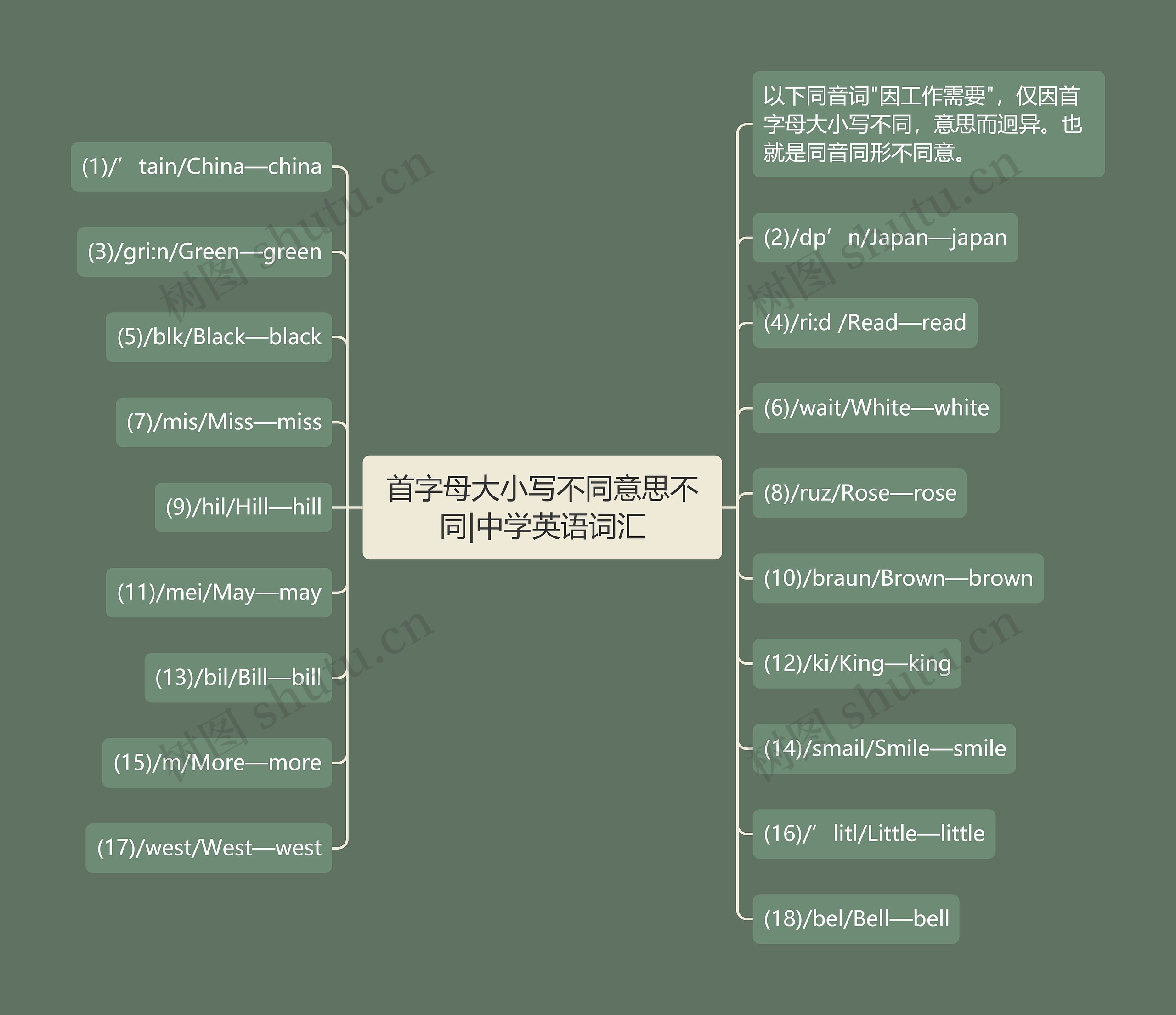 首字母大小写不同意思不同|中学英语词汇