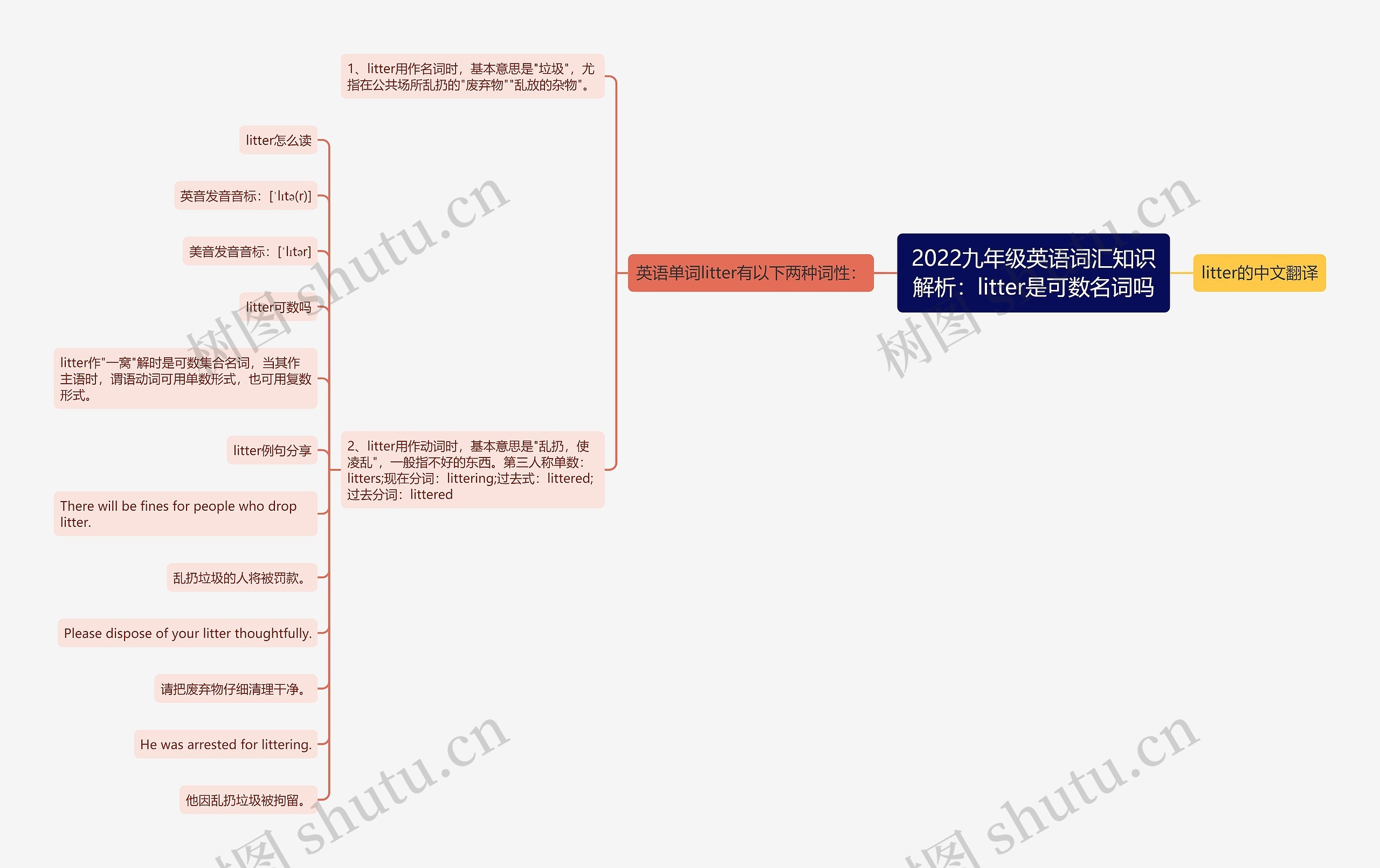 2022九年级英语词汇知识解析：litter是可数名词吗思维导图