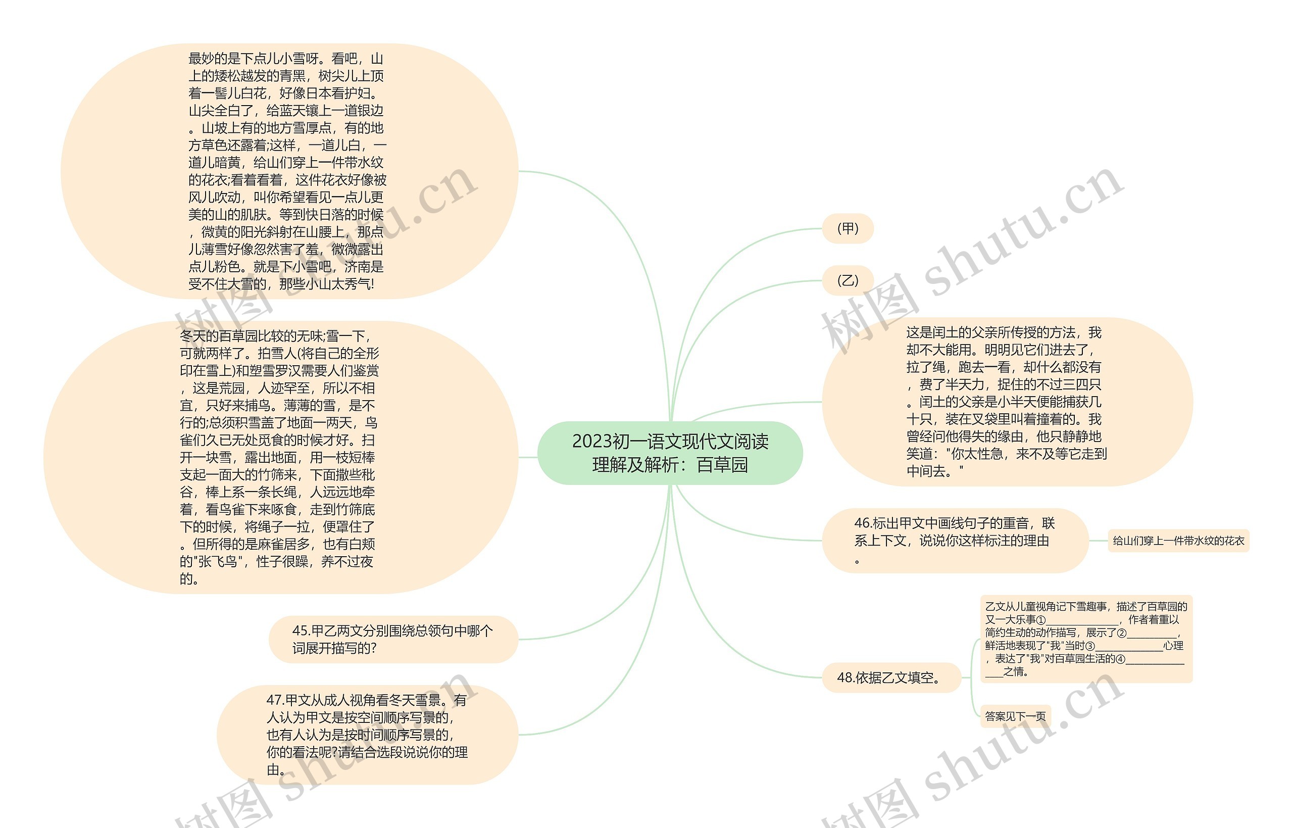 2023初一语文现代文阅读理解及解析：百草园思维导图