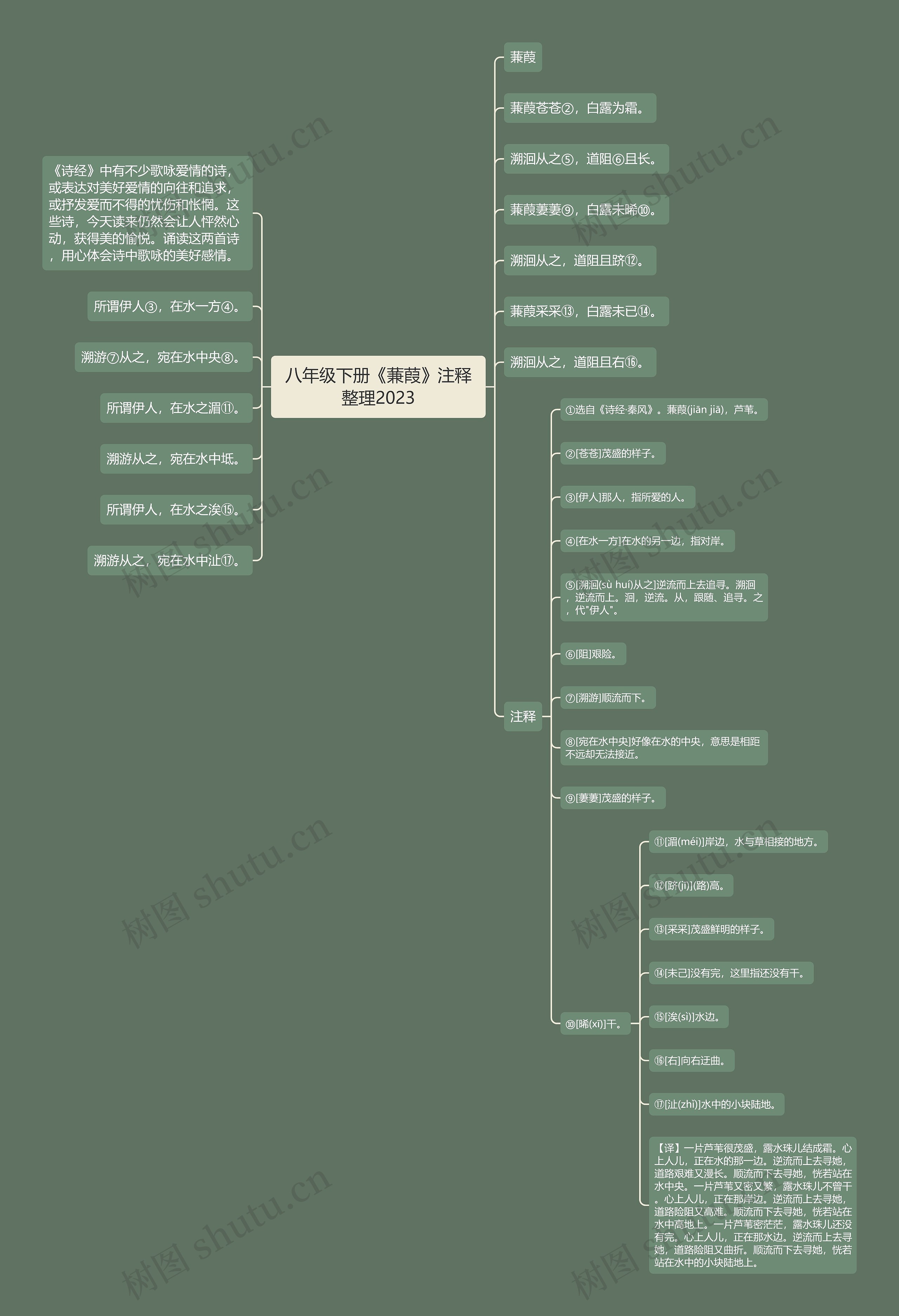 八年级下册《蒹葭》注释整理2023思维导图