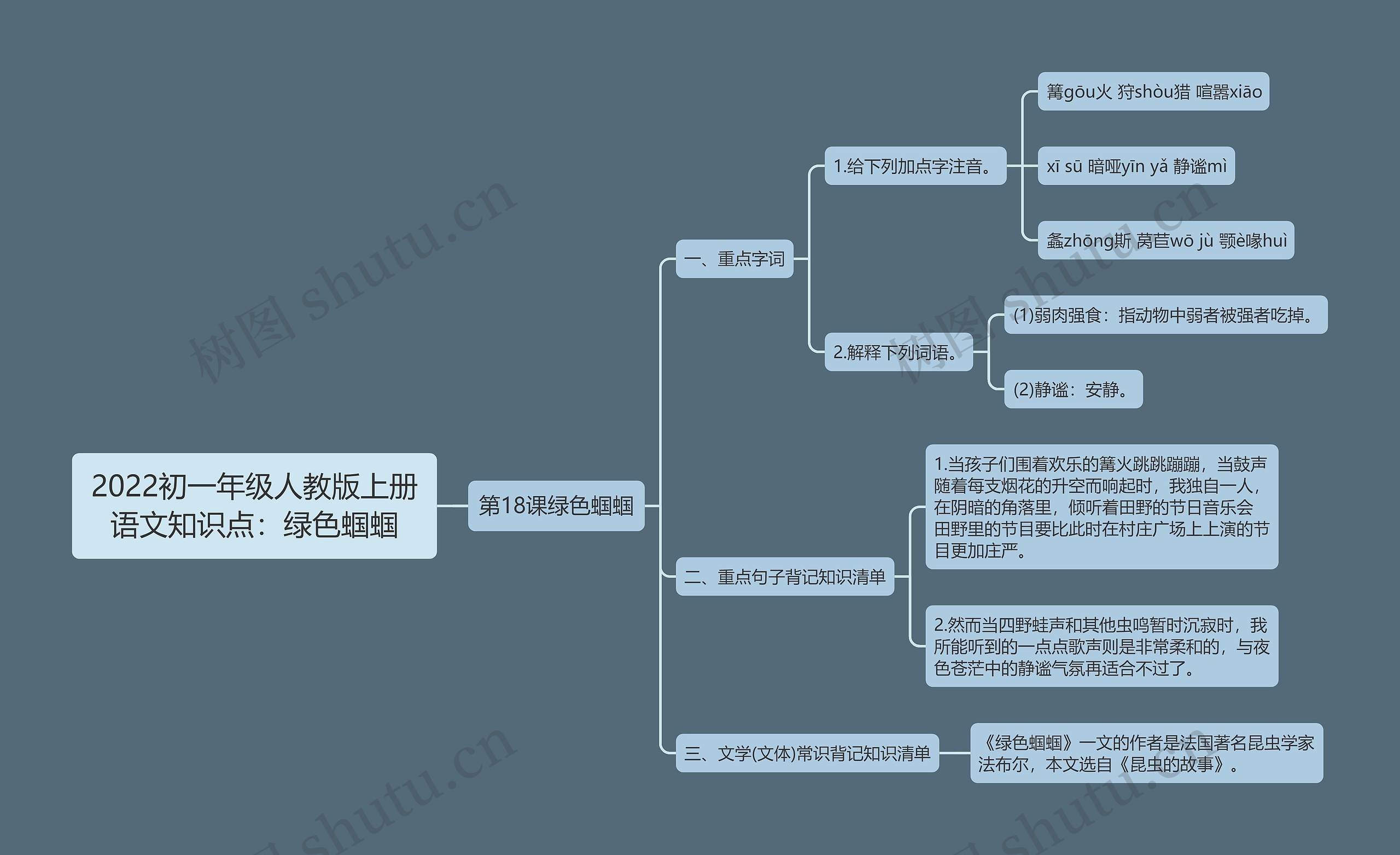 2022初一年级人教版上册语文知识点：绿色蝈蝈