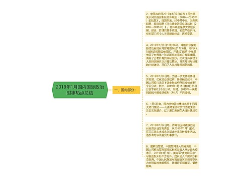 2019年1月国内国际政治时事热点总结