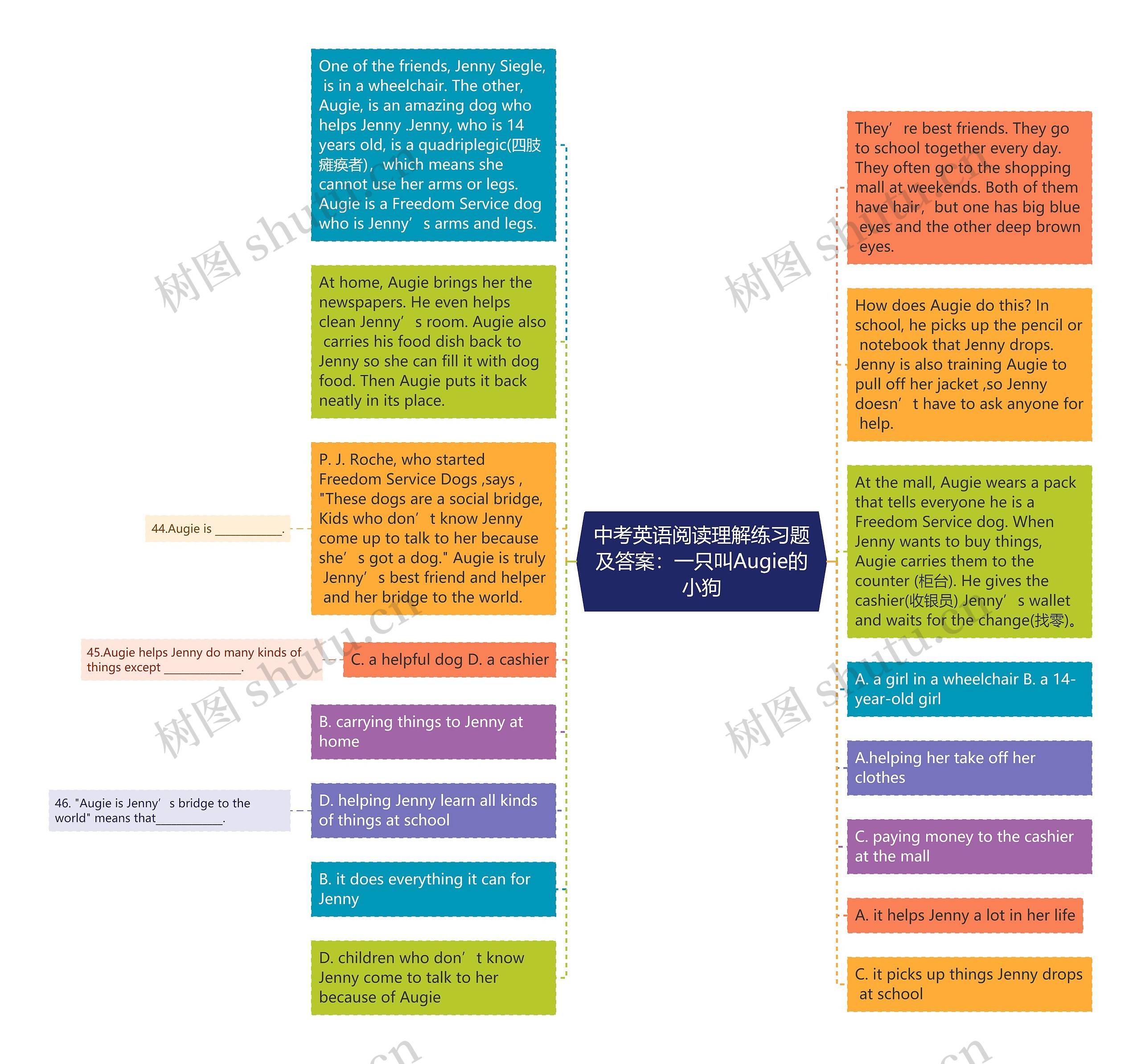 中考英语阅读理解练习题及答案:一只叫Augie的小狗思维导图高清图 中考英语阅读理解练习题及答案:一只叫Augie的小狗思维导图