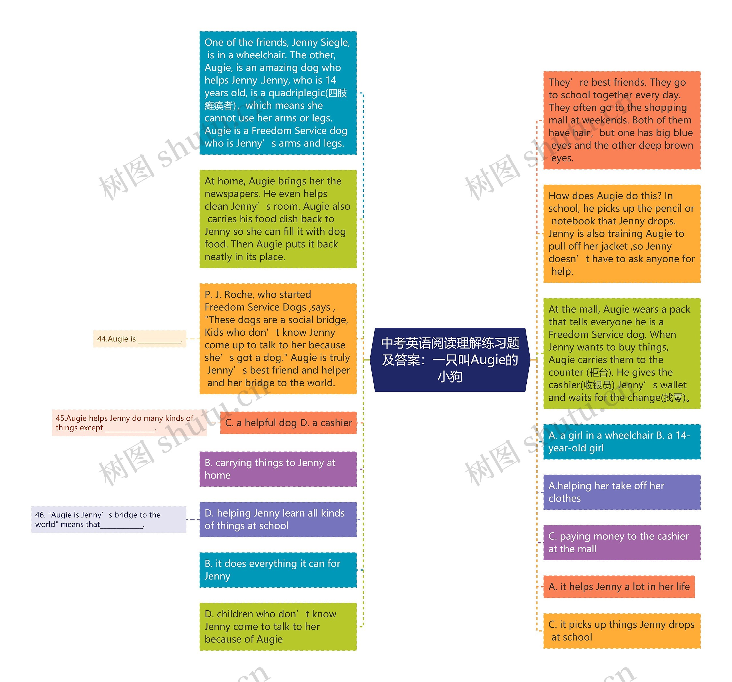 中考英语阅读理解练习题及答案：一只叫Augie的小狗思维导图