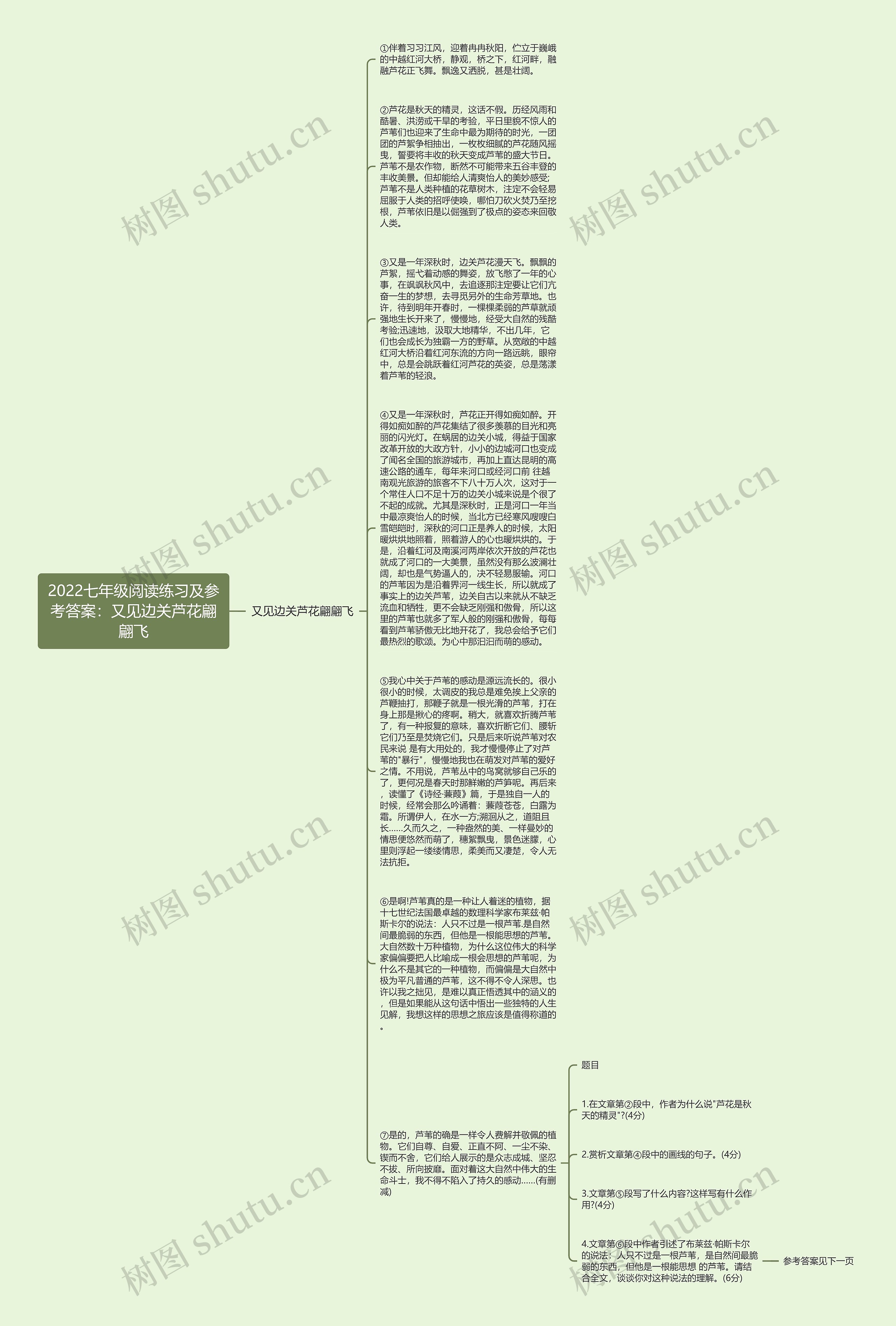 2022七年级阅读练习及参考答案：又见边关芦花翩翩飞思维导图