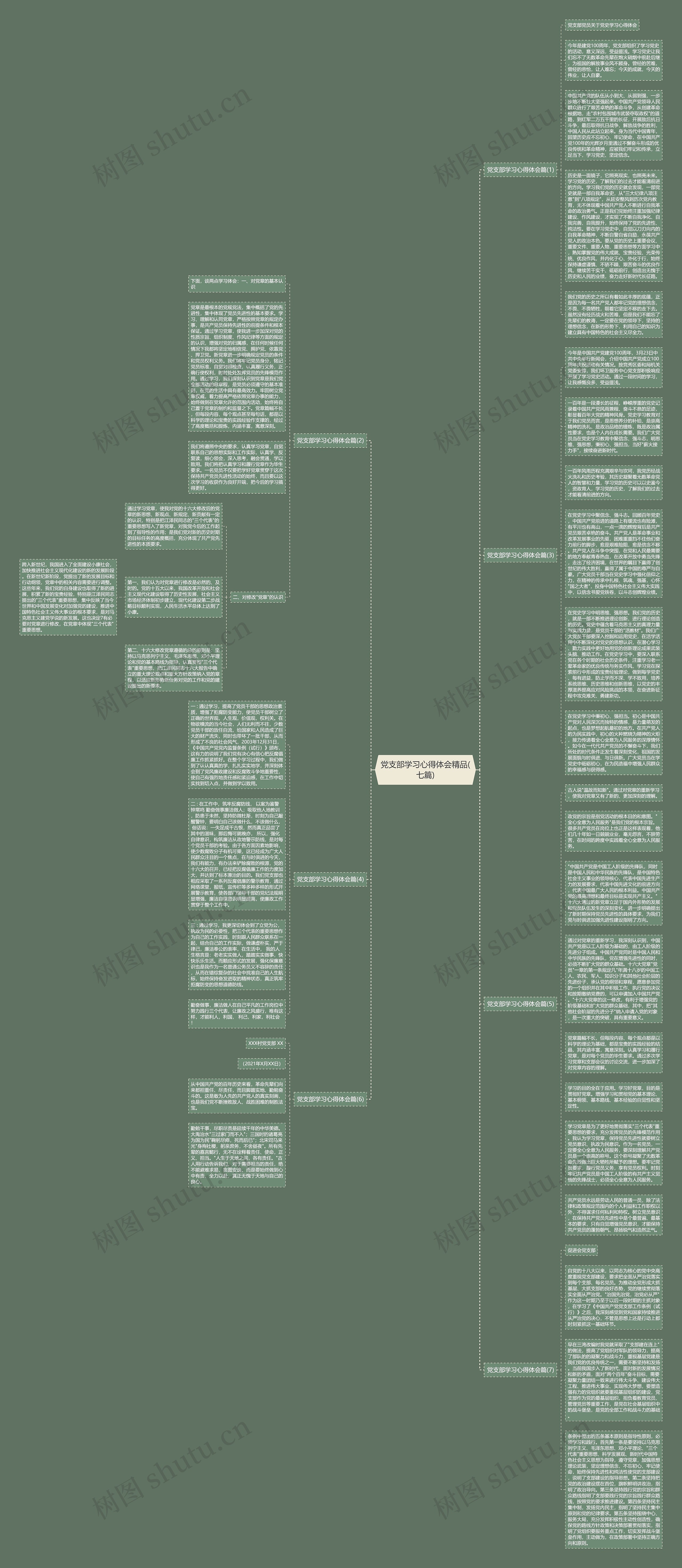 党支部学习心得体会精品(七篇)思维导图