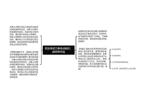 司法考试三卷考点知识：自传体作品