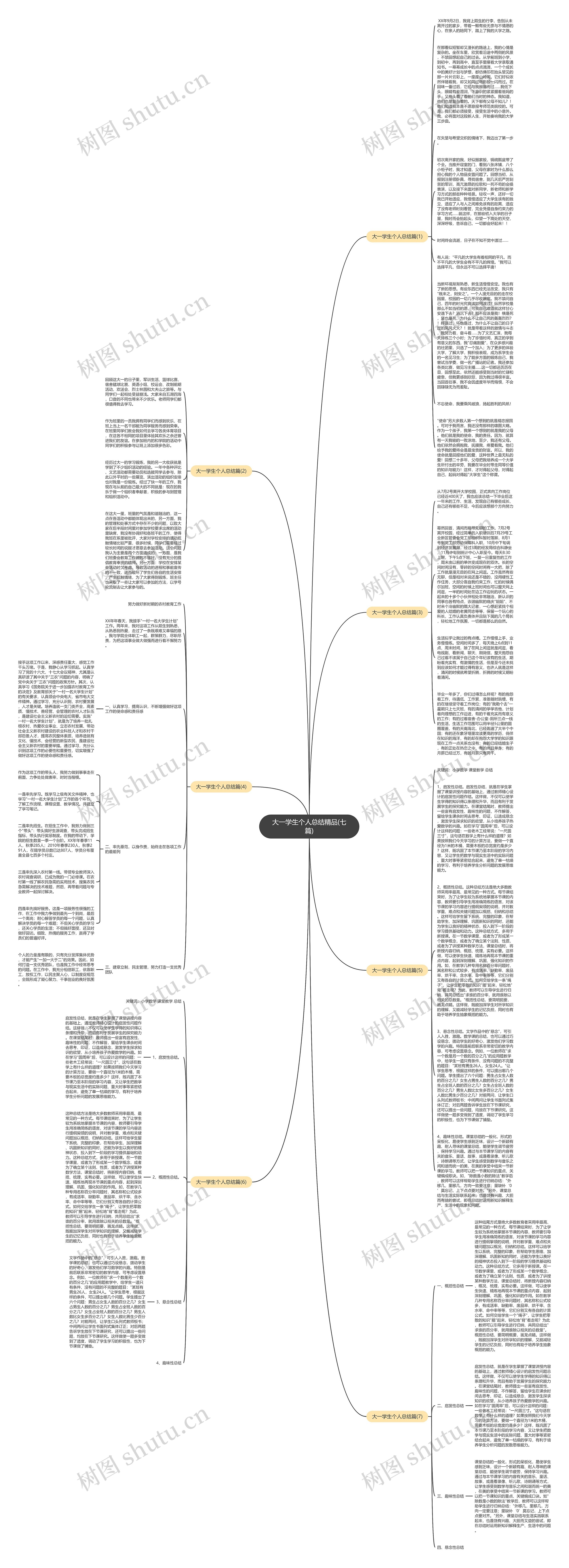 大一学生个人总结精品(七篇)思维导图