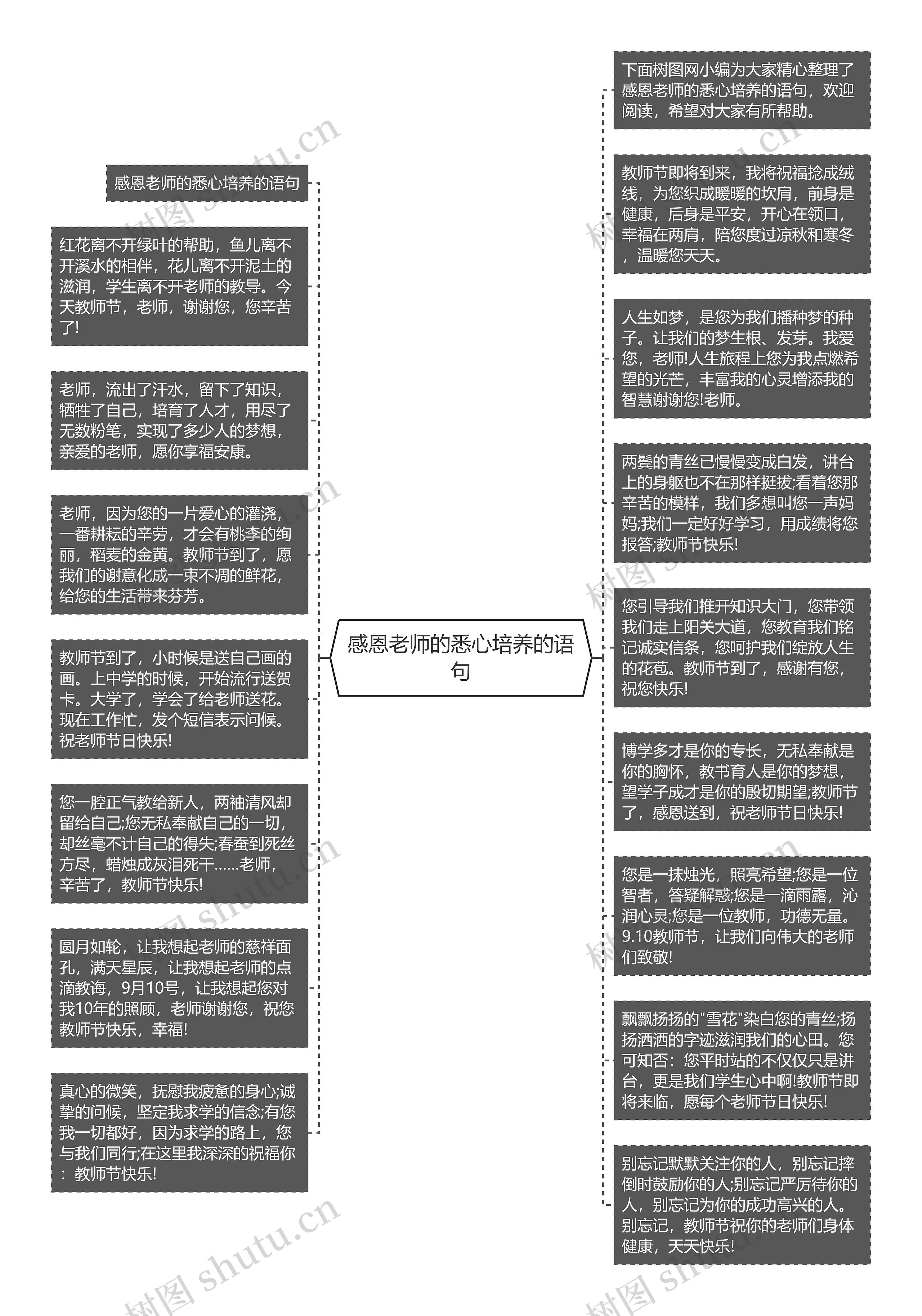 感恩老师的悉心培养的语句