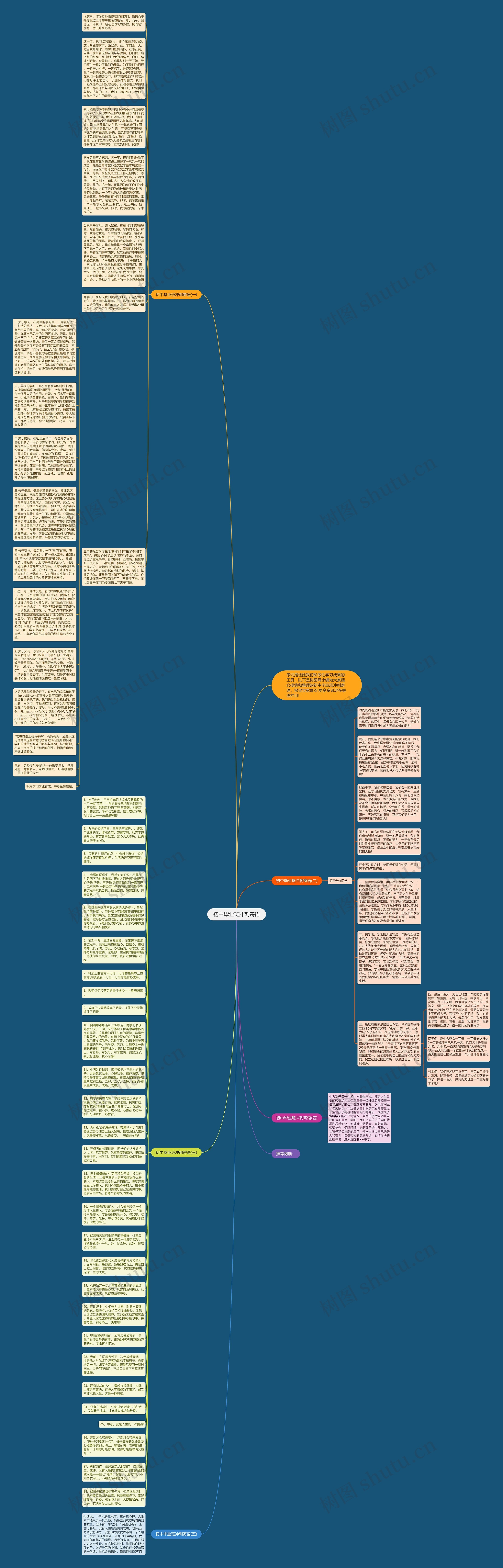 初中毕业班冲刺寄语思维导图