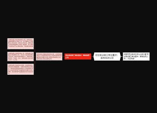 司法考试卷三商法重点：国有独资公司