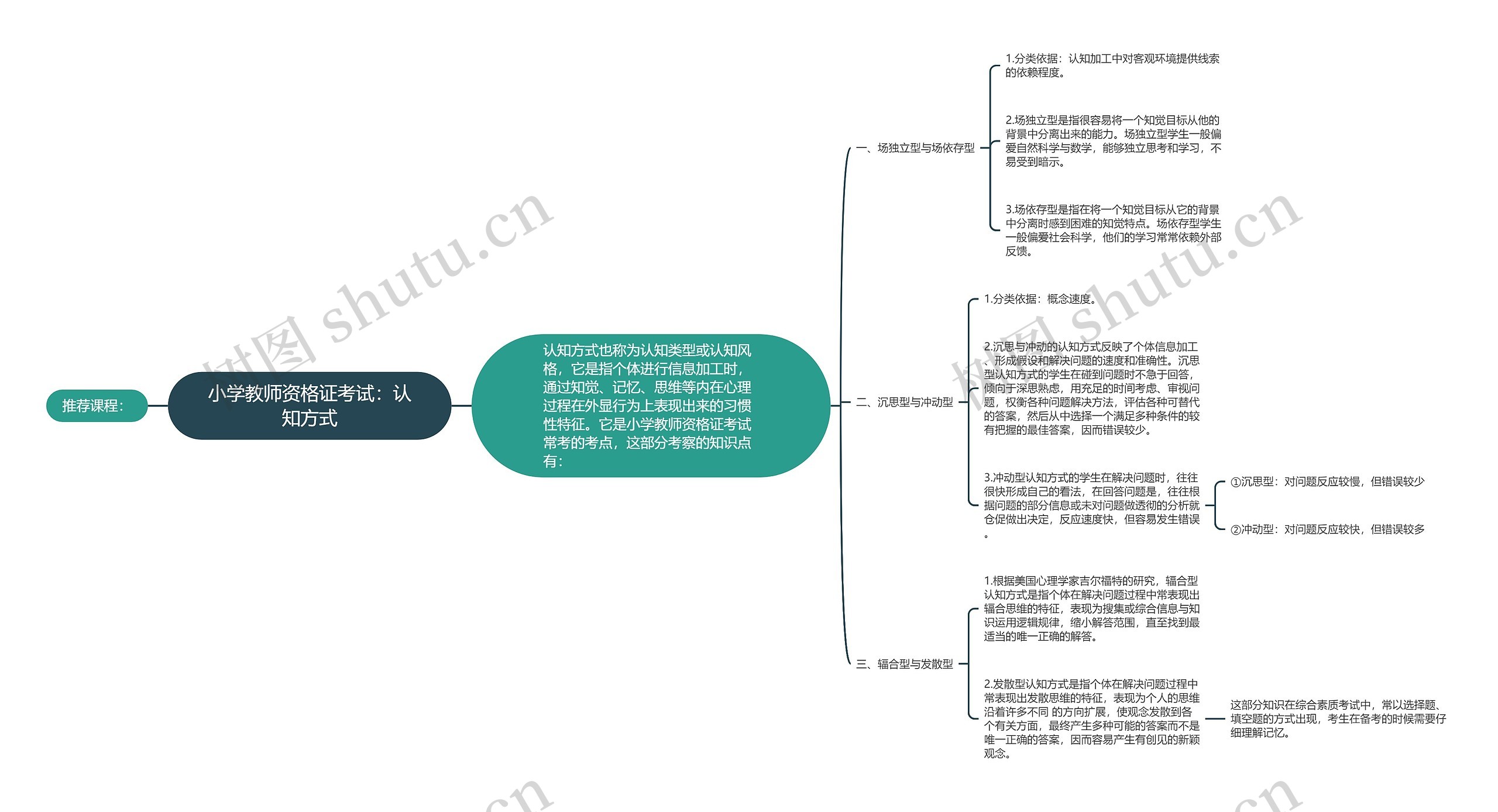 小学教师资格证考试：认知方式