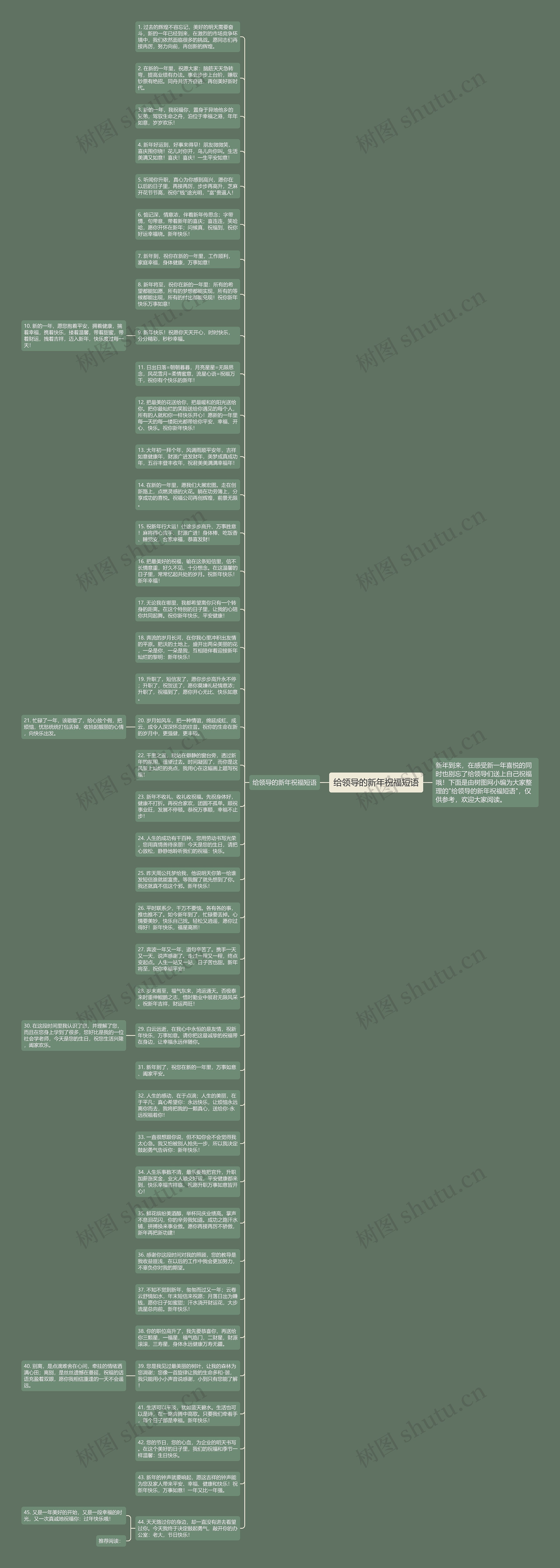 给领导的新年祝福短语思维导图