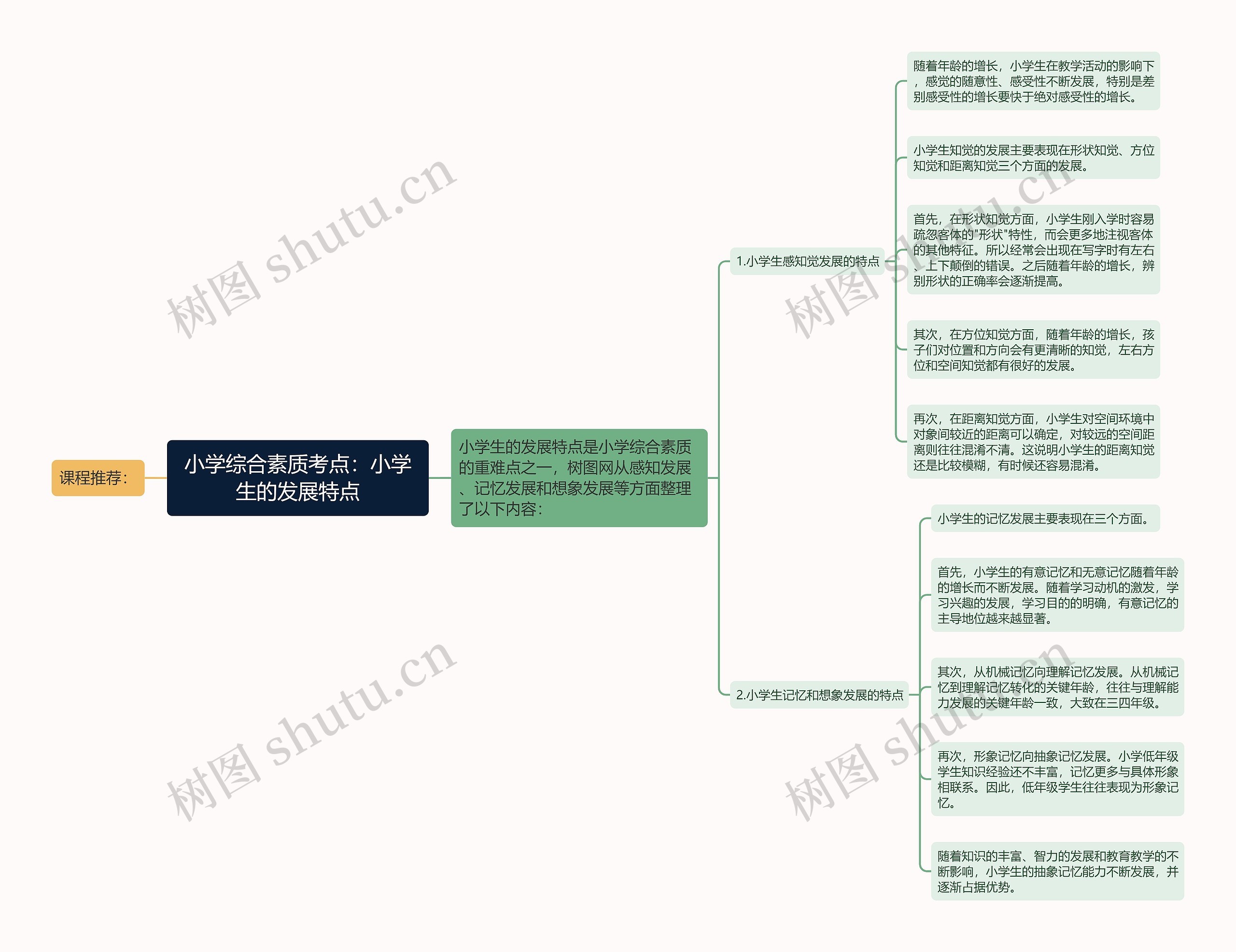 小学综合素质考点：小学生的发展特点