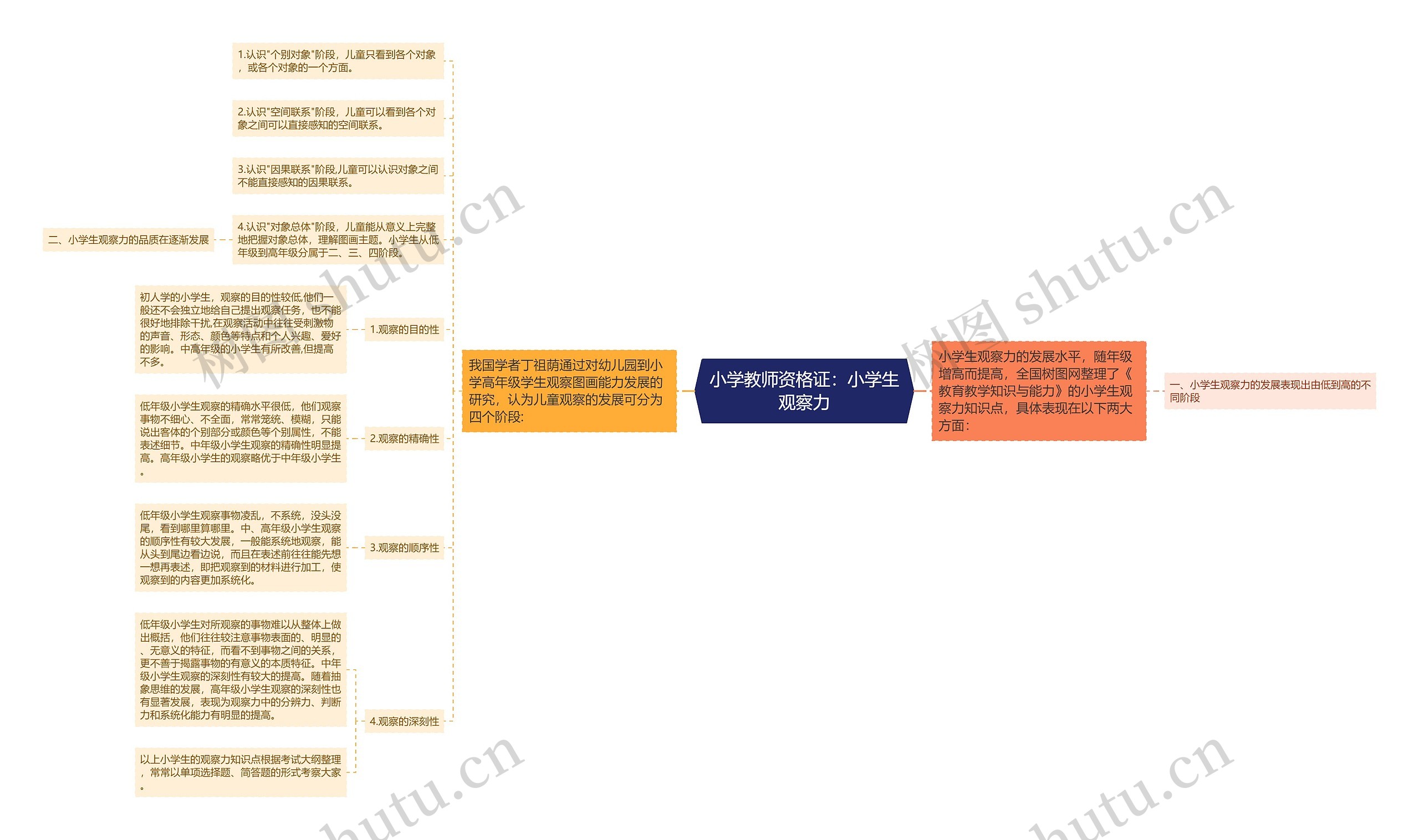 小学教师资格证：小学生观察力思维导图