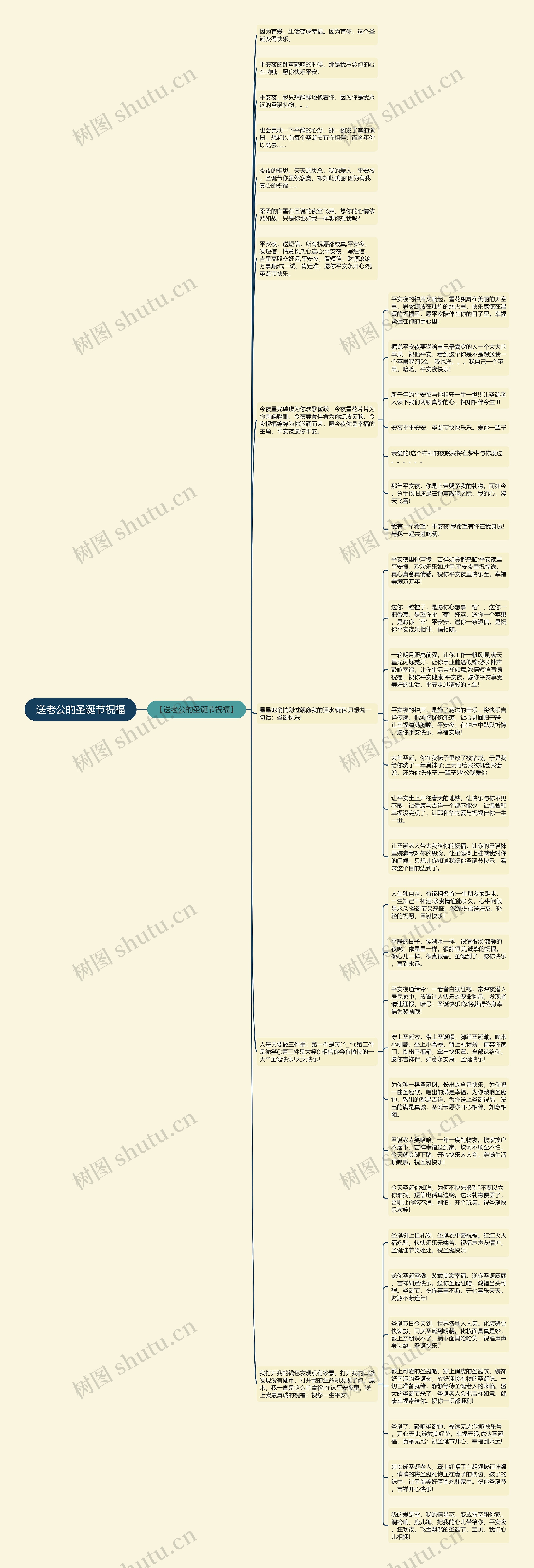 送老公的圣诞节祝福思维导图
