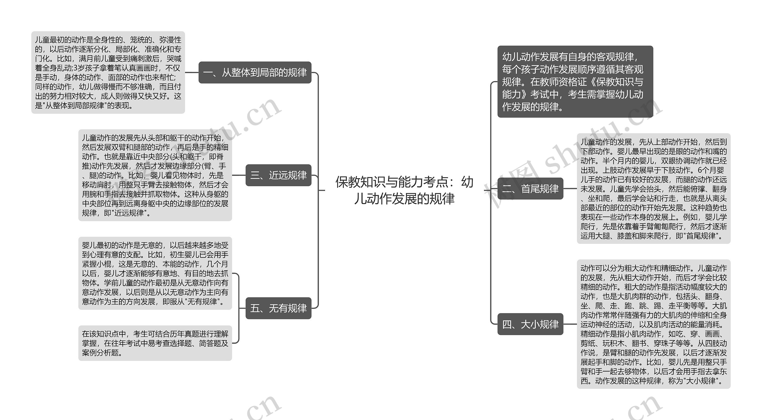 保教知识与能力考点：幼儿动作发展的规律