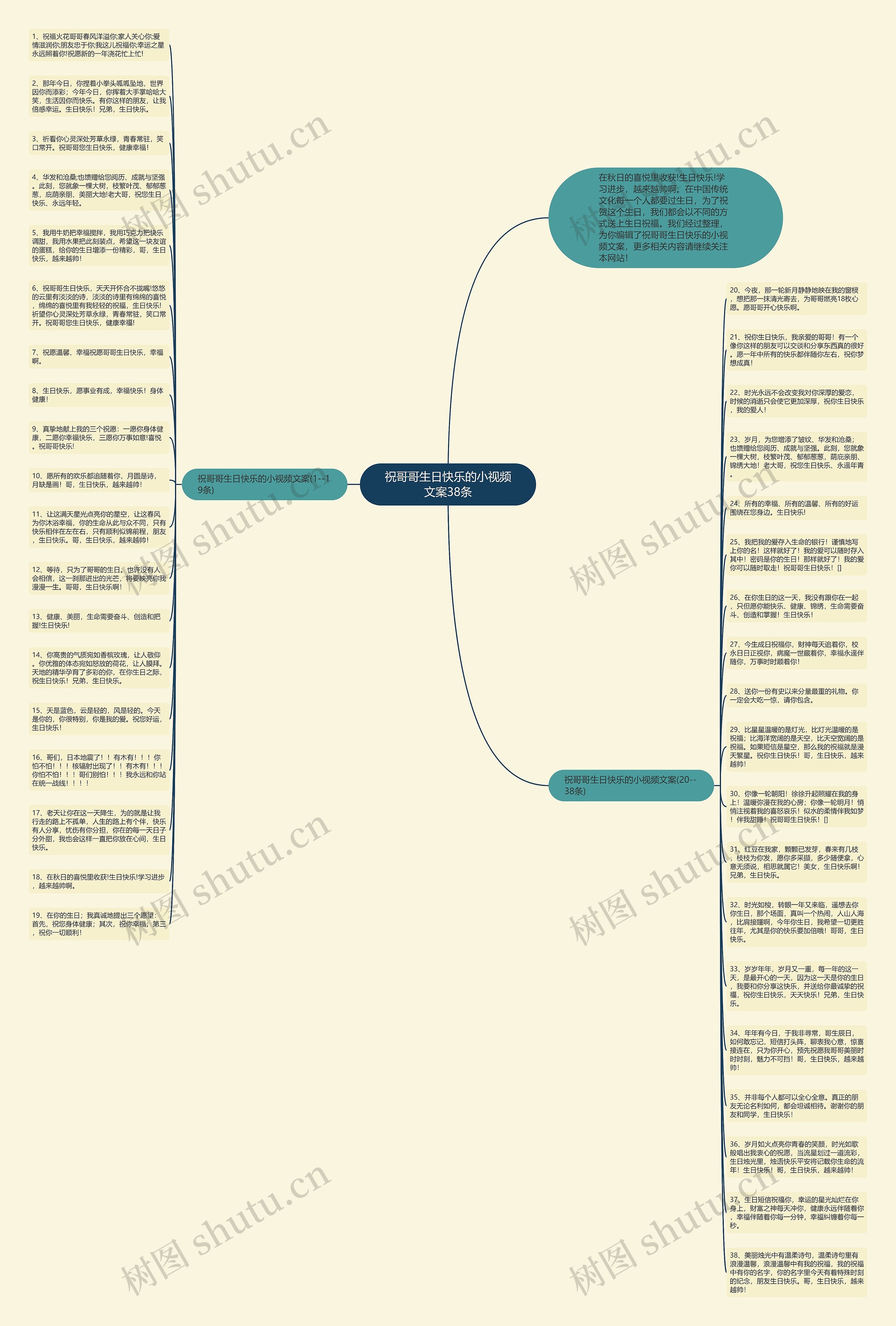 祝哥哥生日快乐的小视频文案38条思维导图