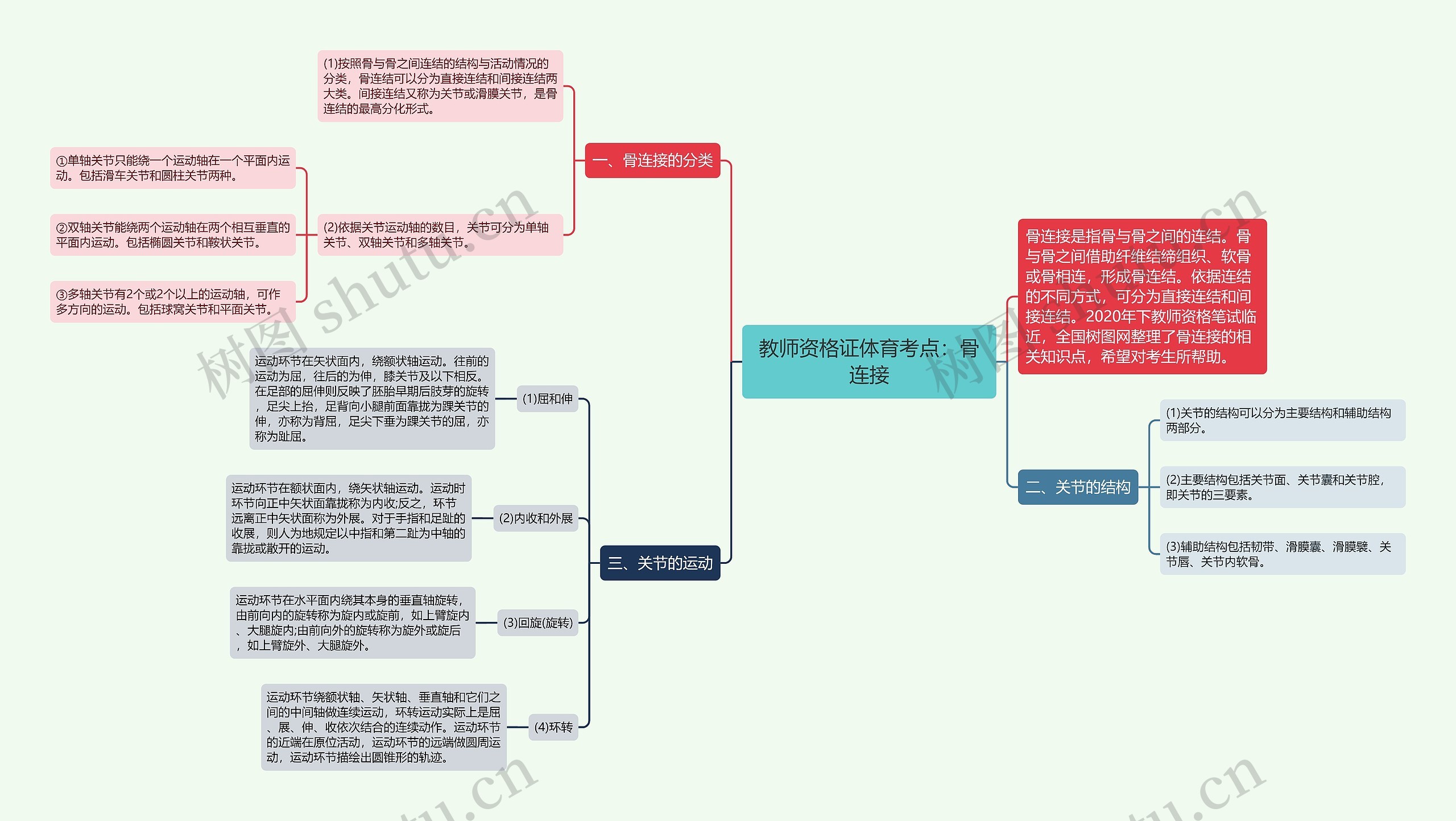 教师资格证体育考点：骨连接