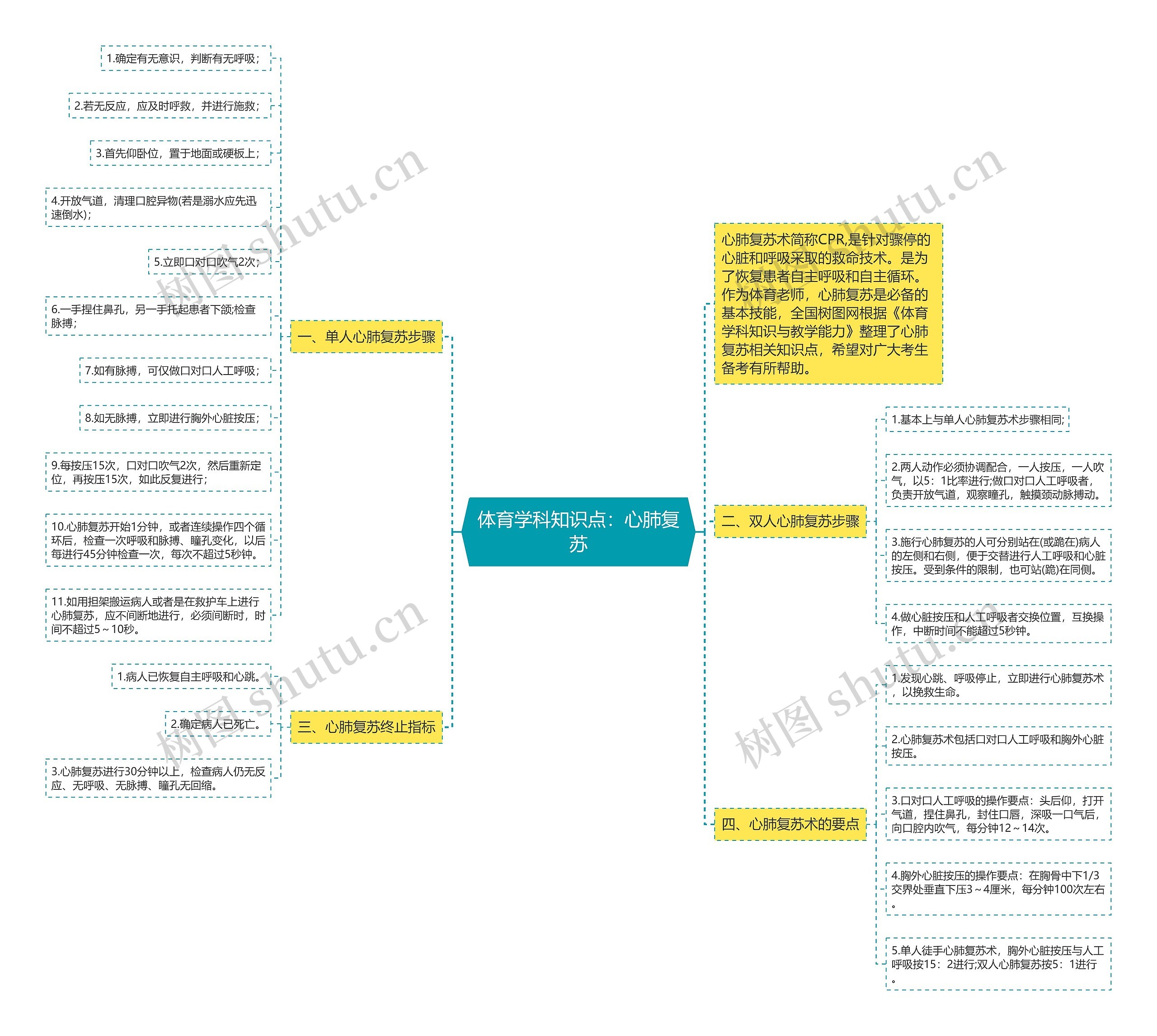 体育学科知识点：心肺复苏思维导图