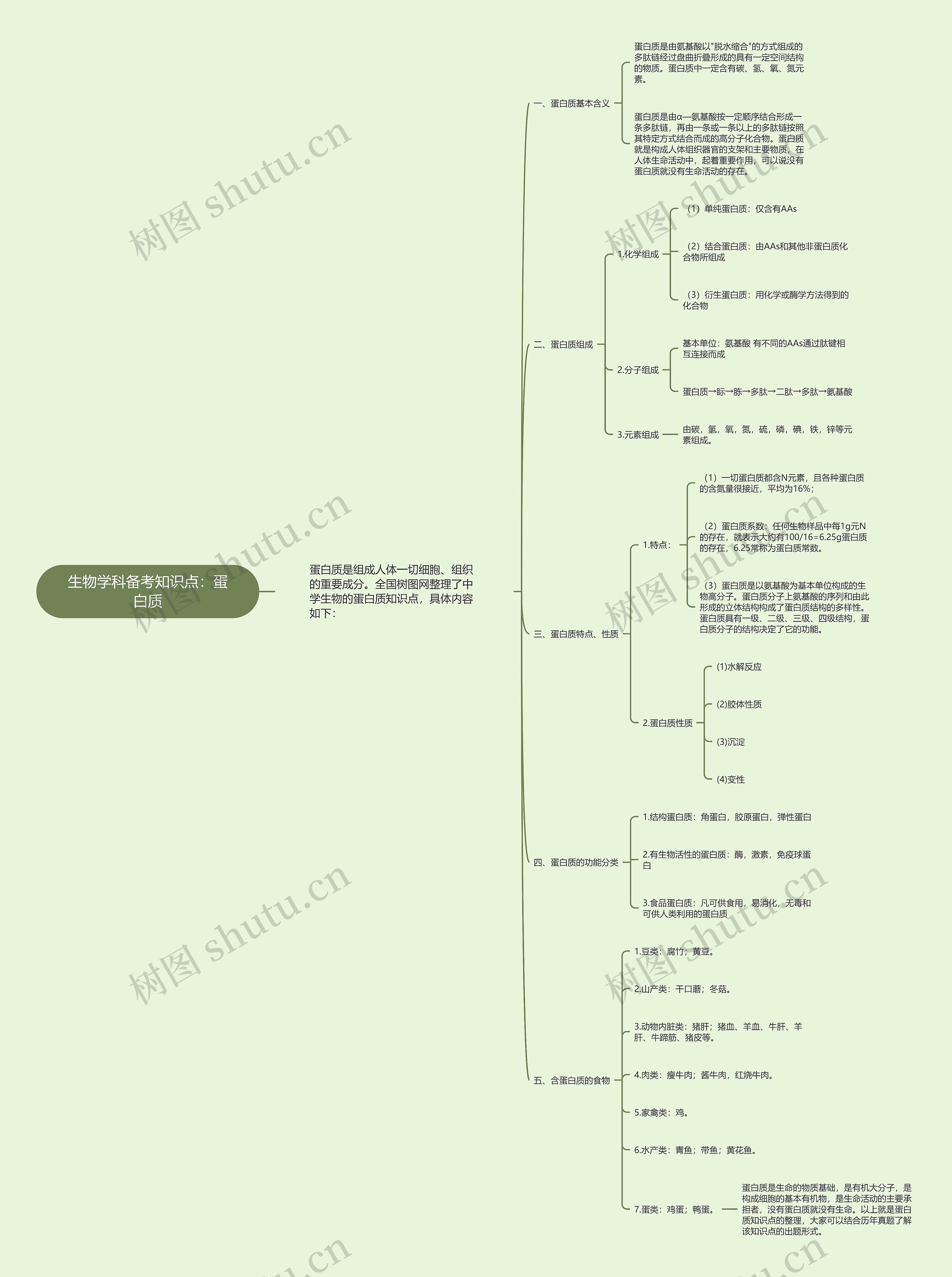 生物学科备考知识点：蛋白质思维导图
