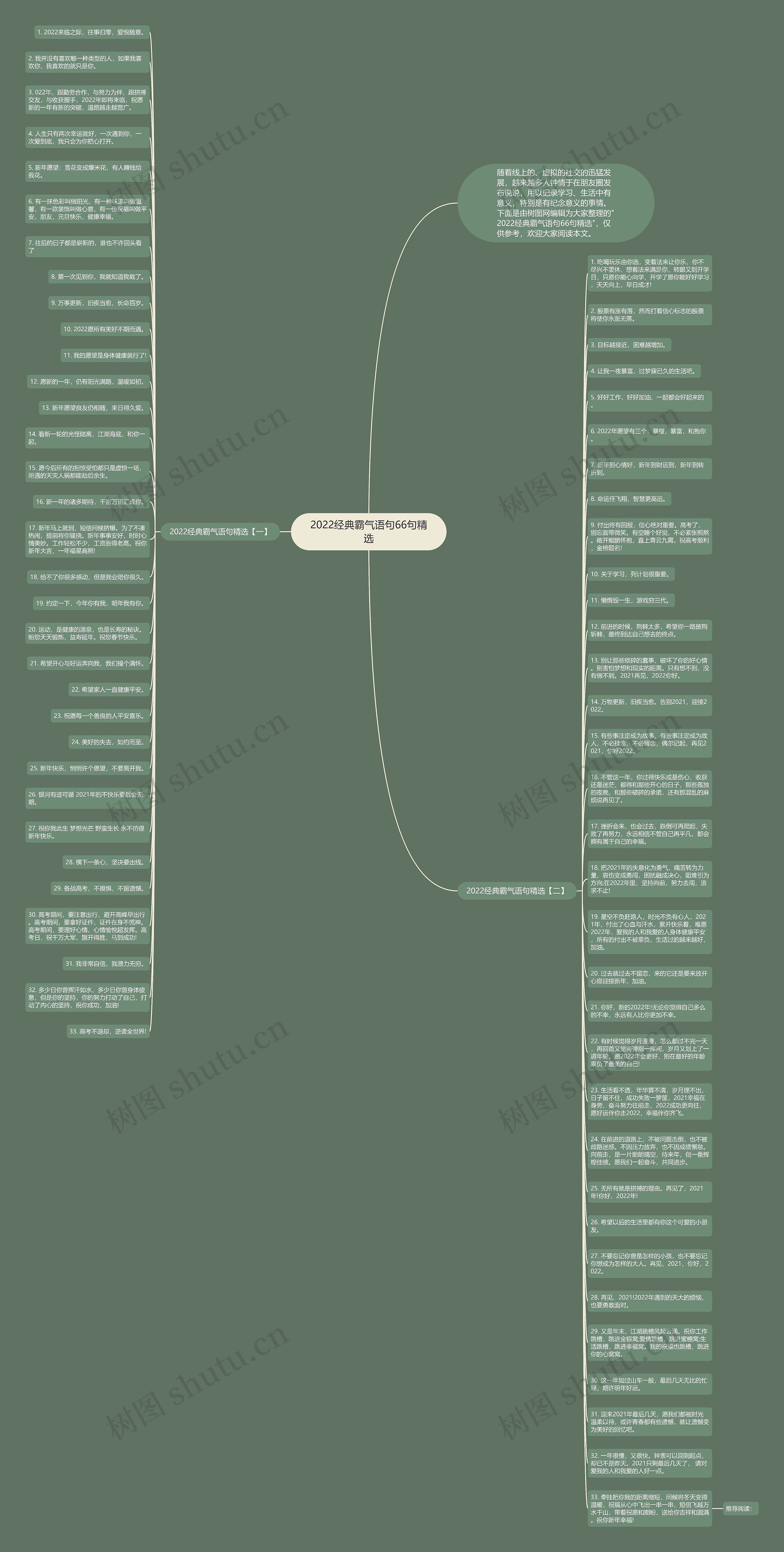 2022经典霸气语句66句精选思维导图