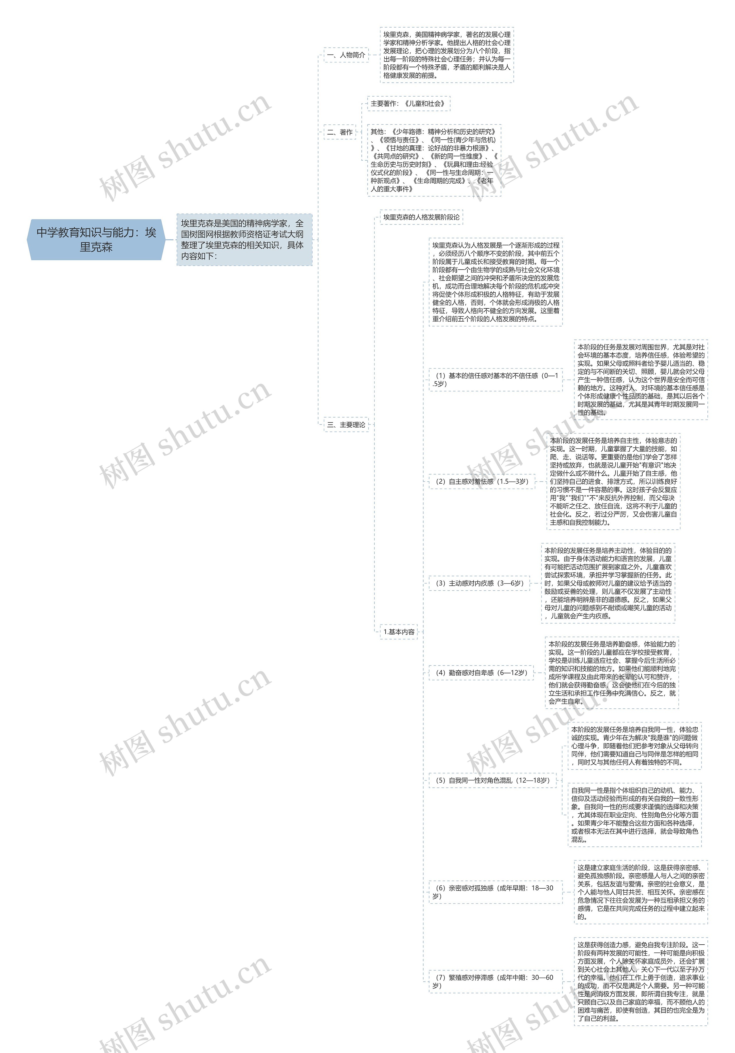 中学教育知识与能力：埃里克森思维导图