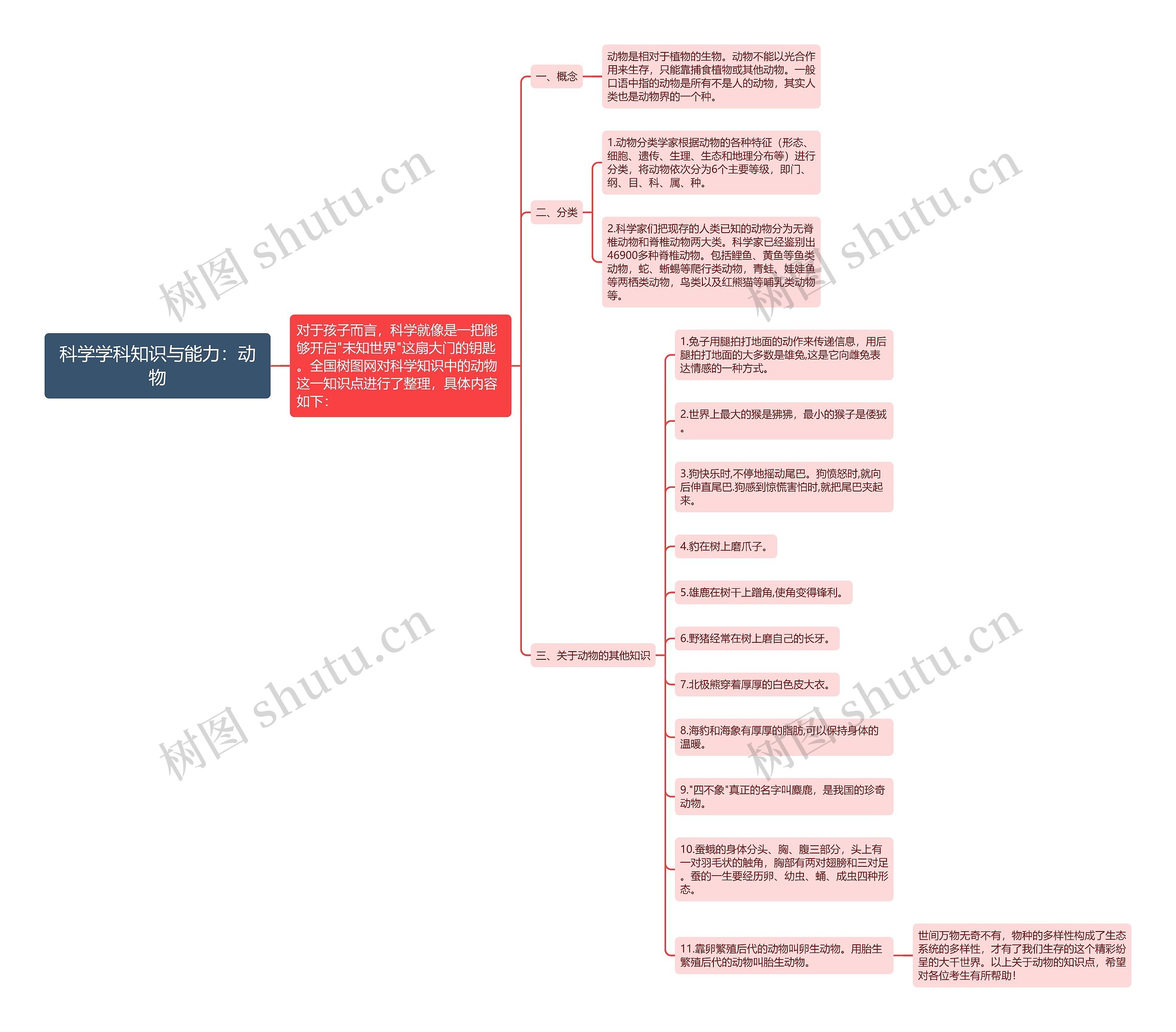 科学学科知识与能力：动物思维导图