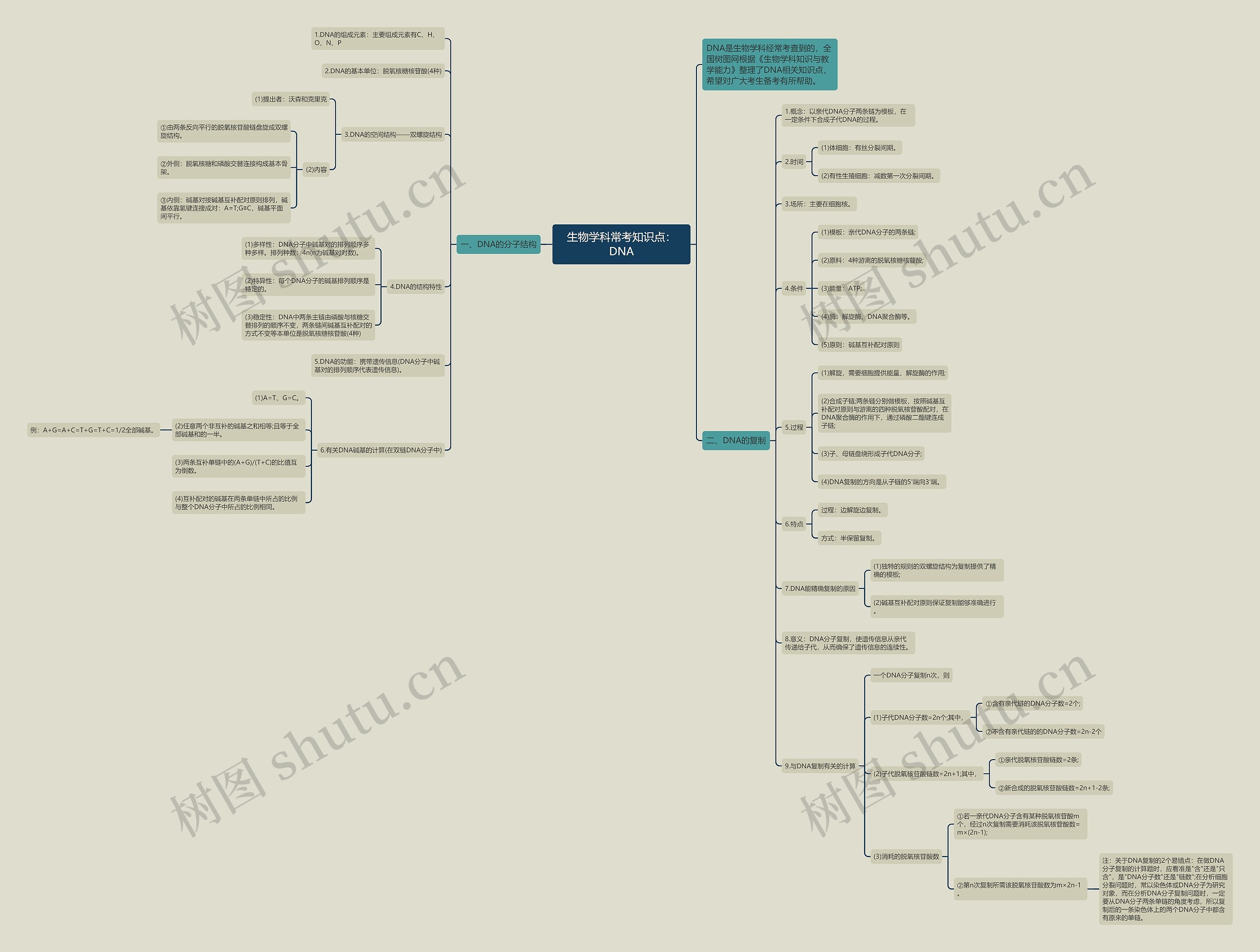 生物学科常考知识点：DNA思维导图