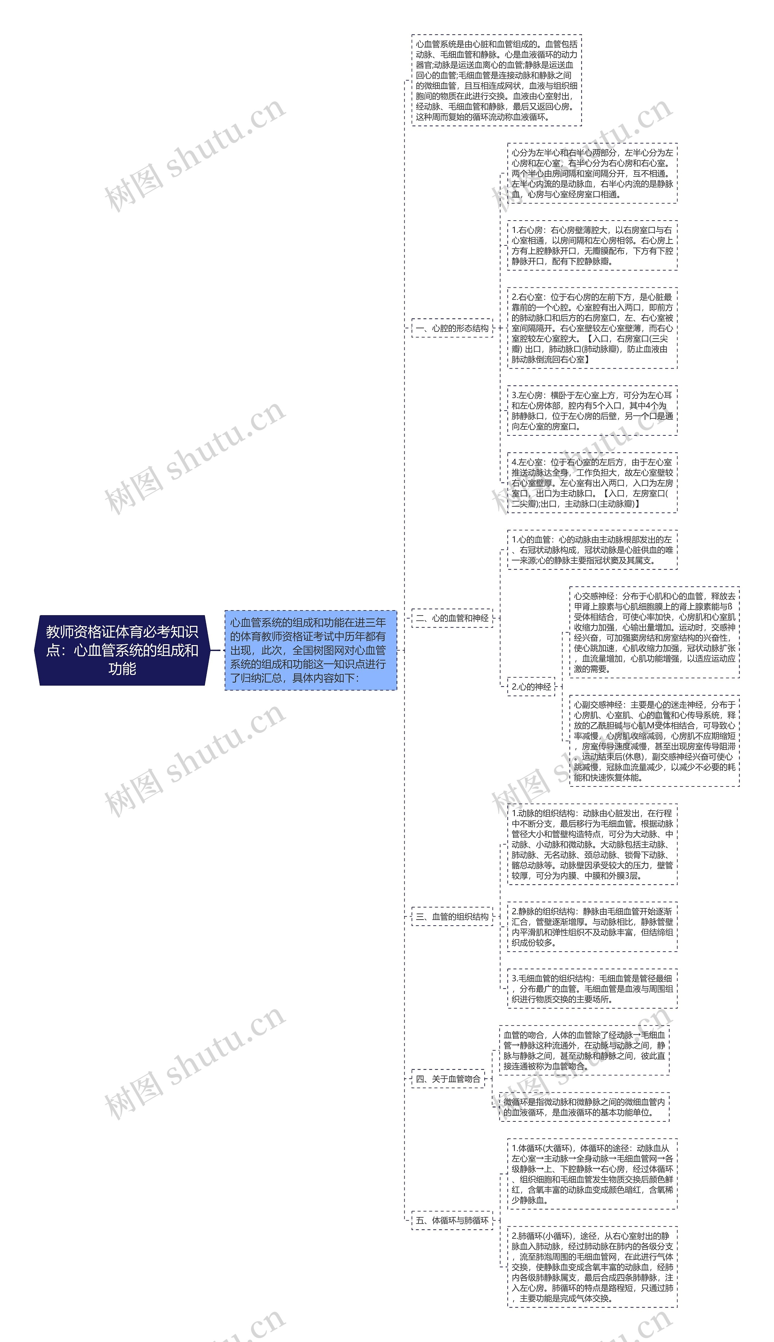 教师资格证体育必考知识点：心血管系统的组成和功能思维导图