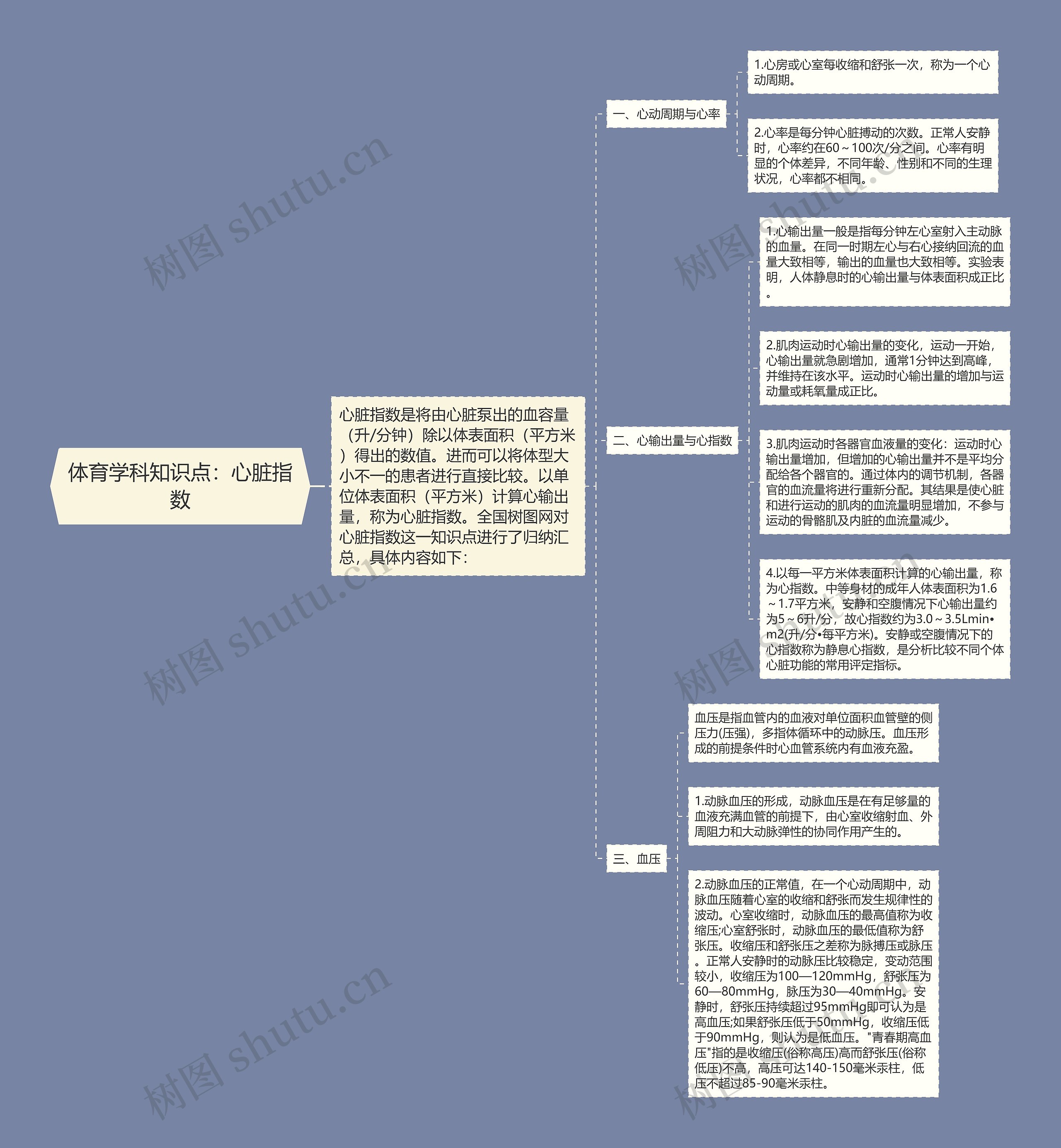 体育学科知识点：心脏指数思维导图