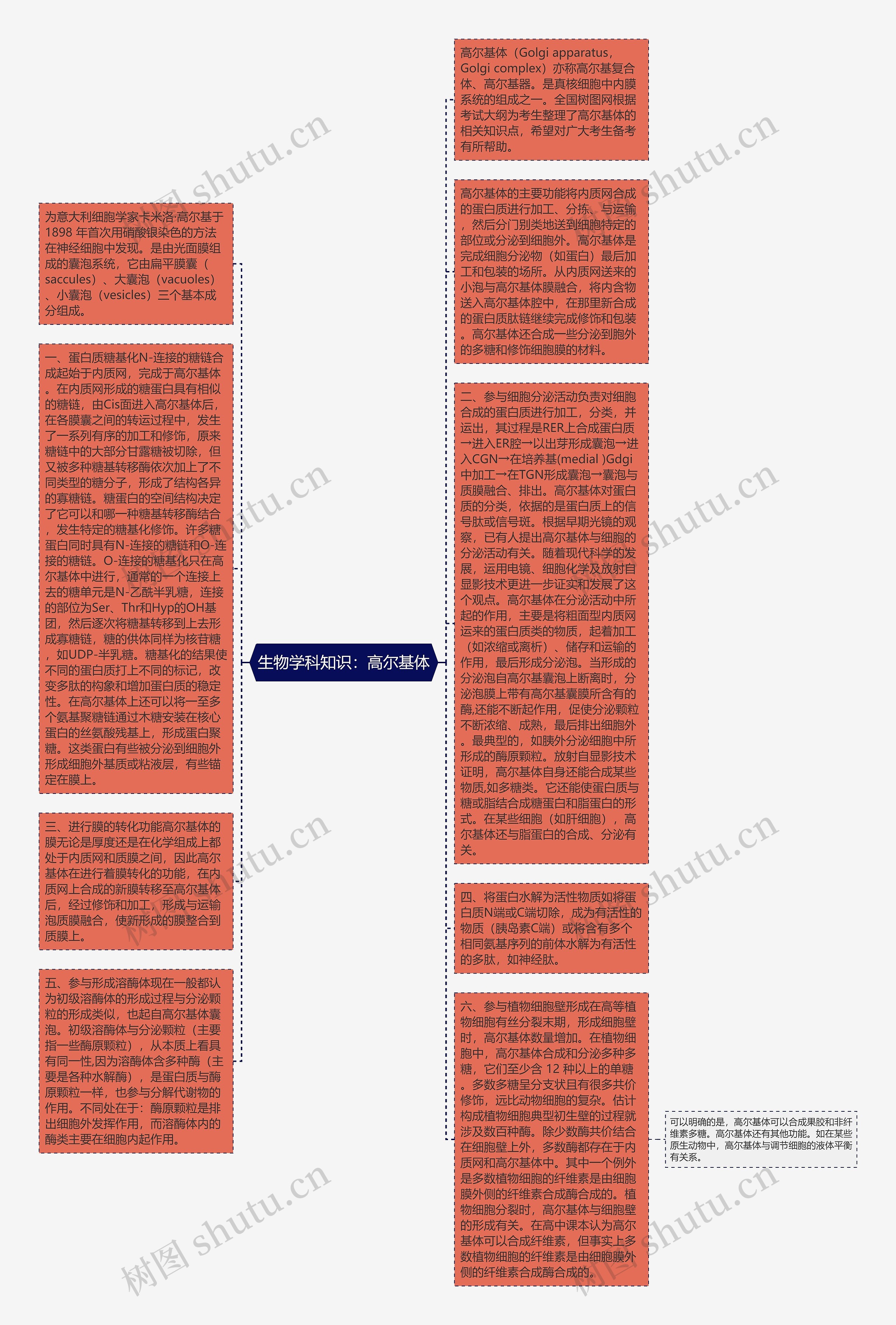 生物学科知识：高尔基体思维导图