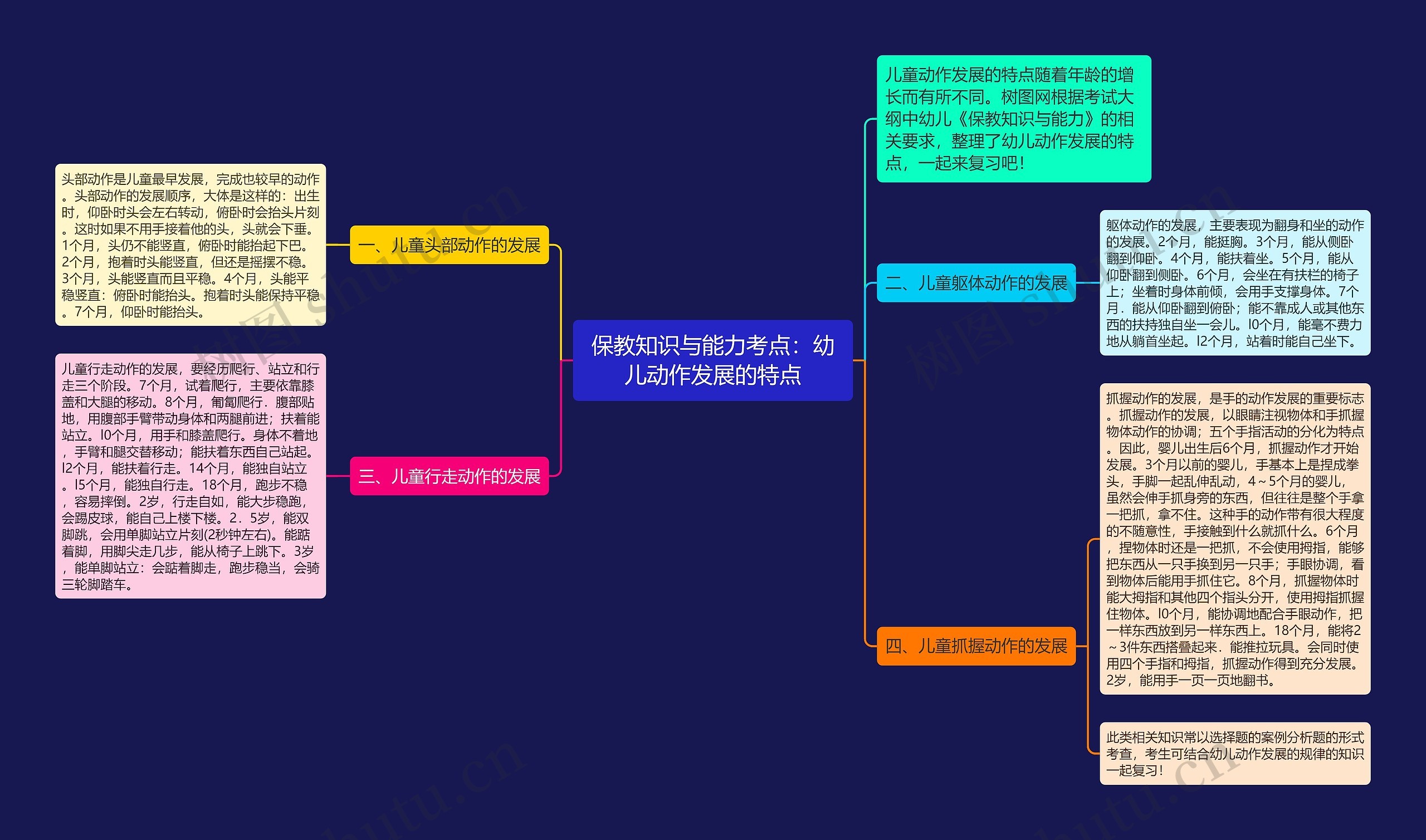 保教知识与能力考点：幼儿动作发展的特点思维导图