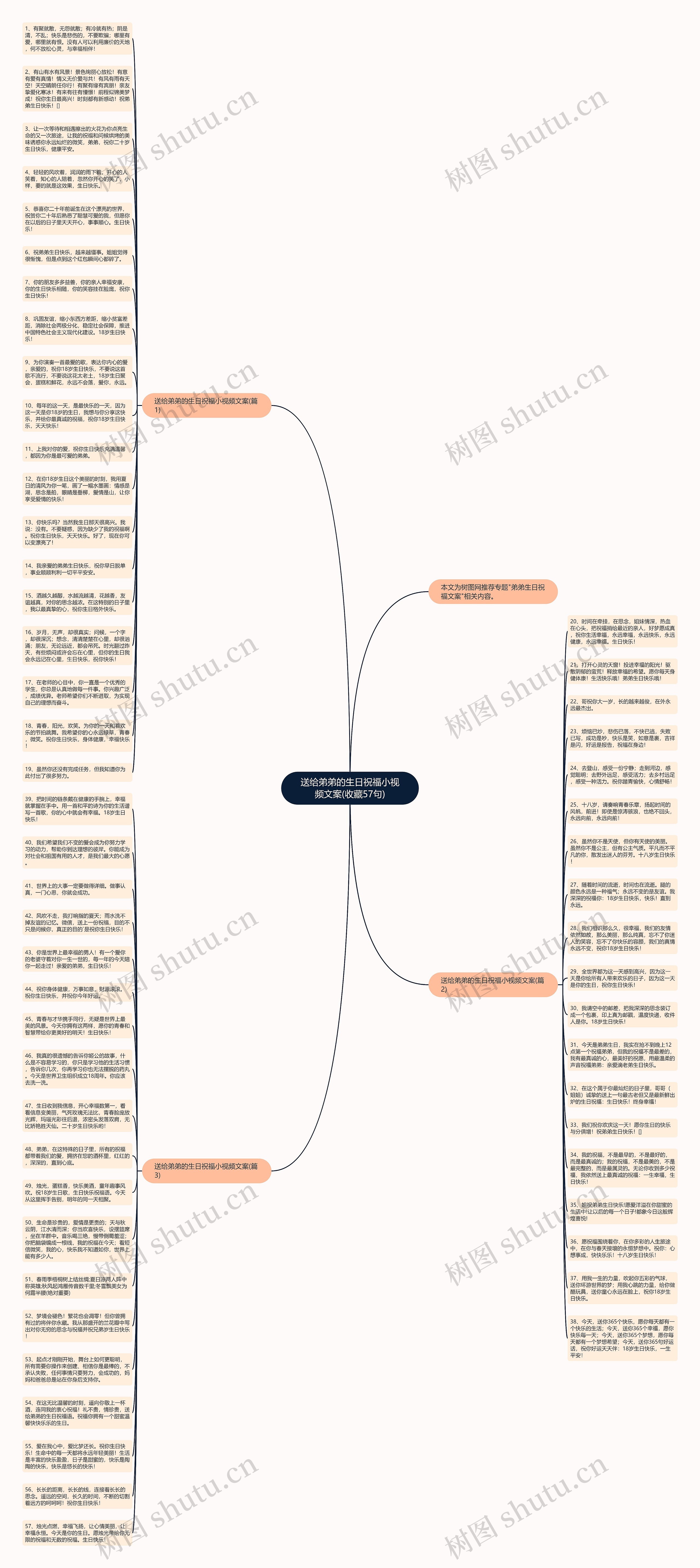 送给弟弟的生日祝福小视频文案(收藏57句)思维导图