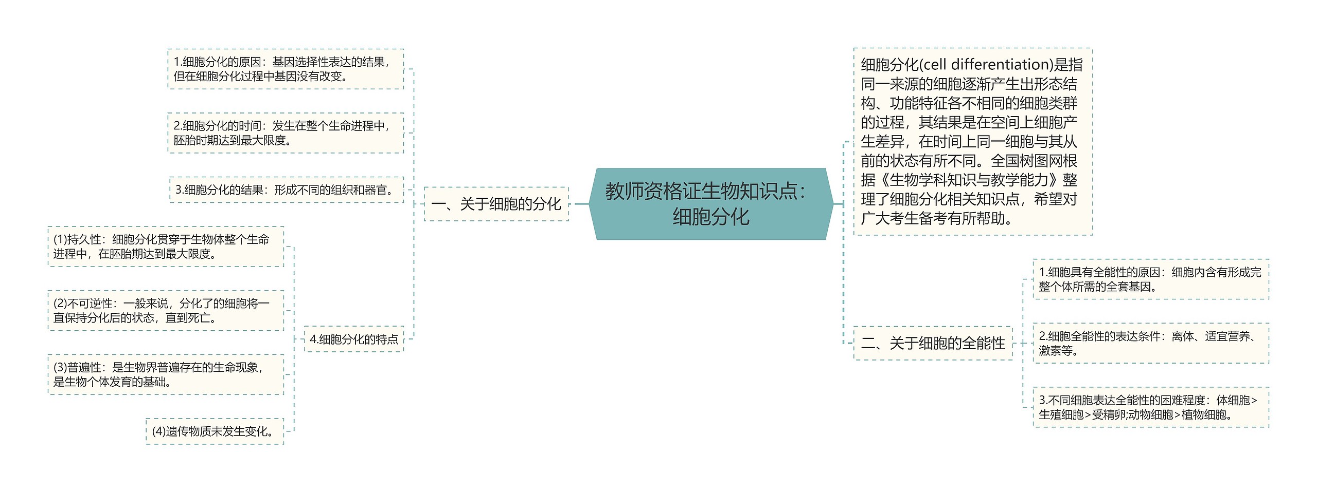 教师资格证生物知识点：细胞分化思维导图