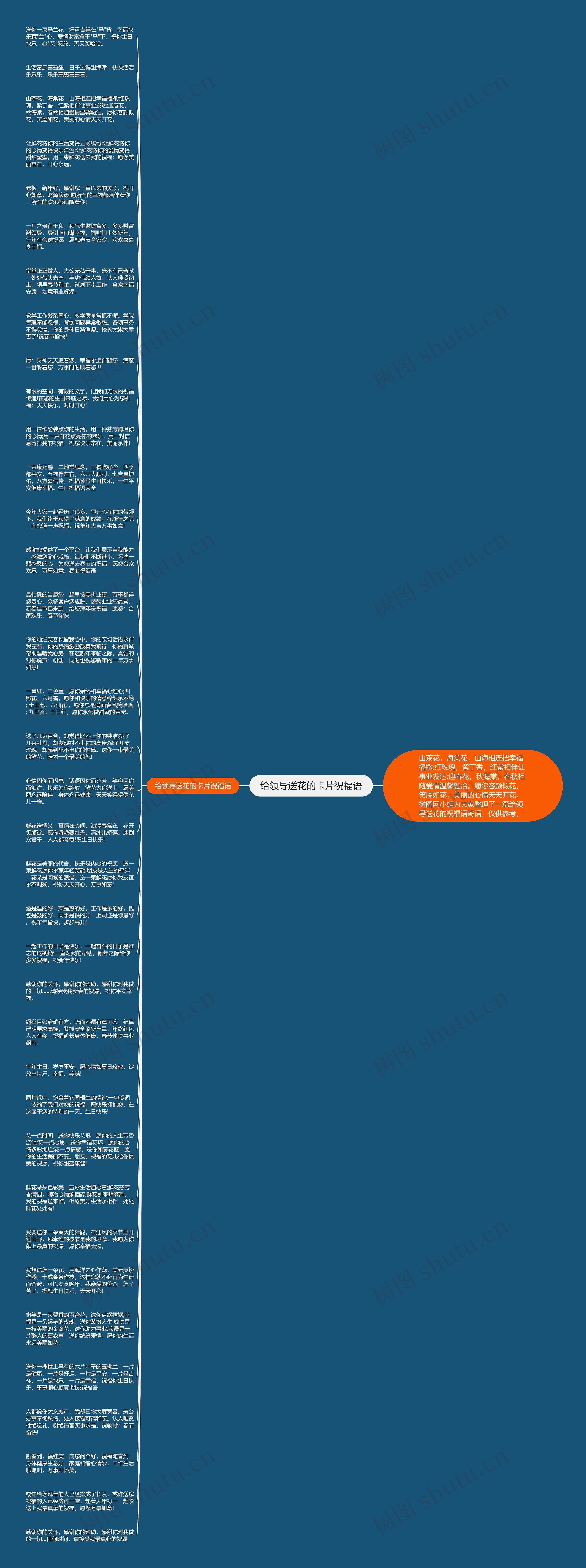 给领导送花的卡片祝福语思维导图