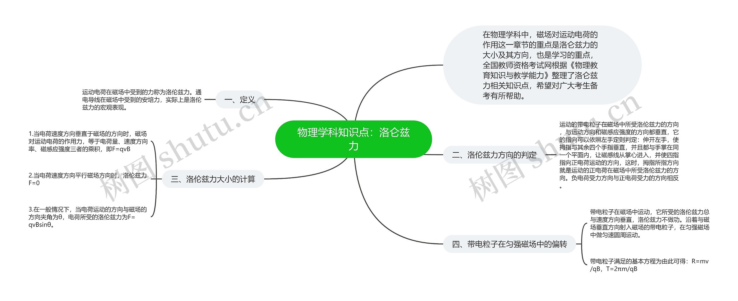 物理学科知识点：洛仑兹力思维导图